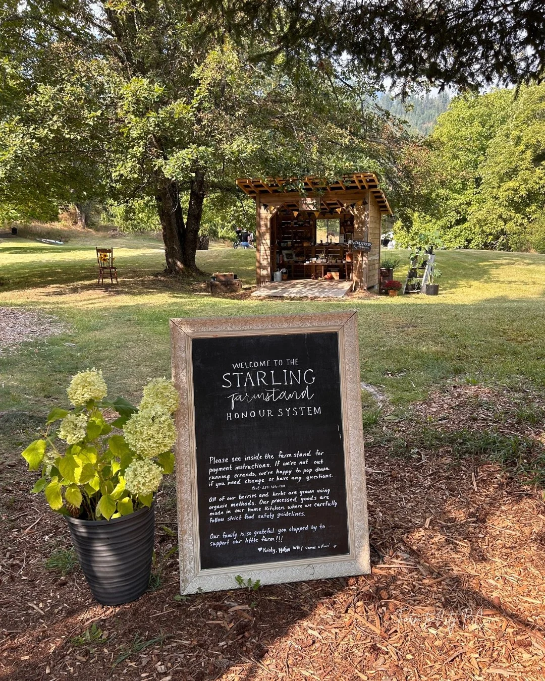 starling farm stand sign 2.jpg