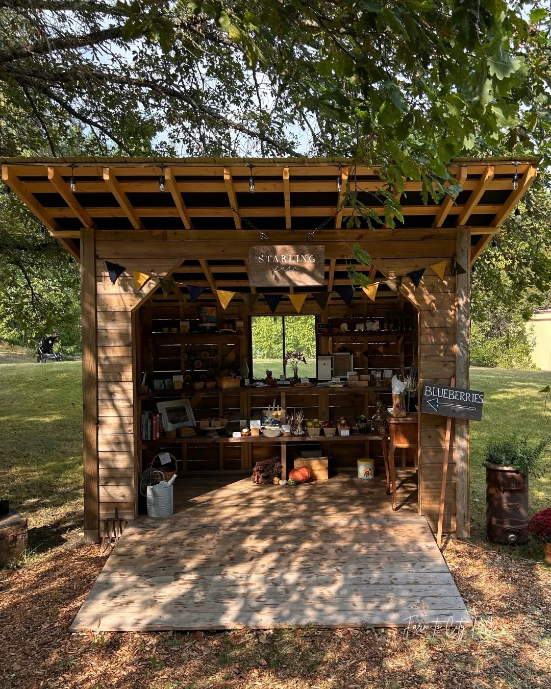 starling farm stand.jpg