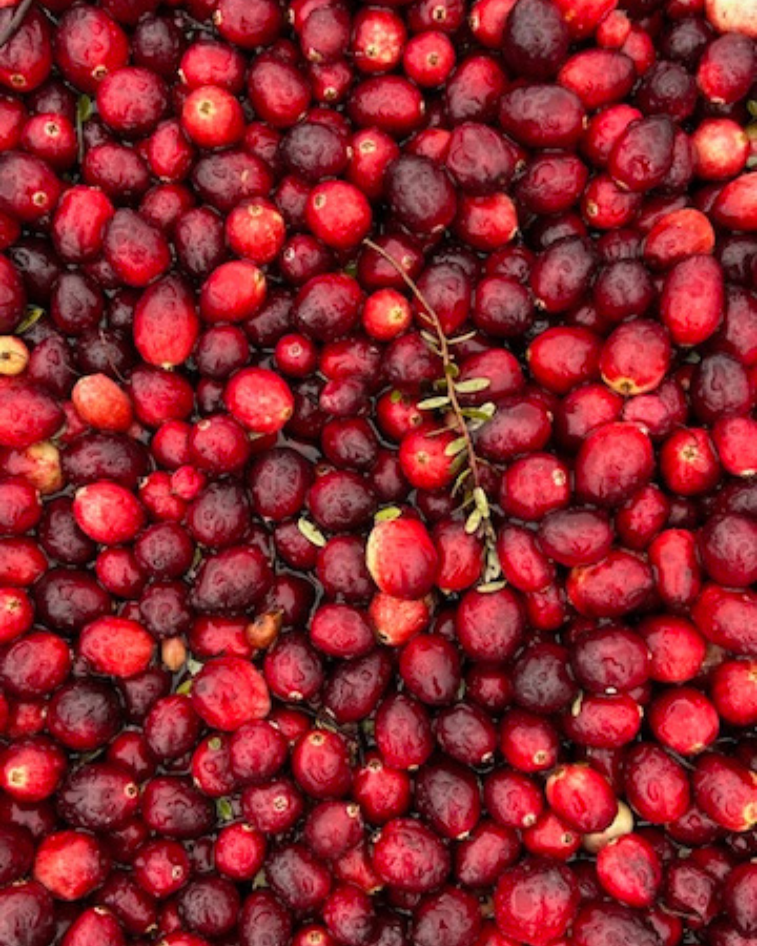 cranberry aerial view.png