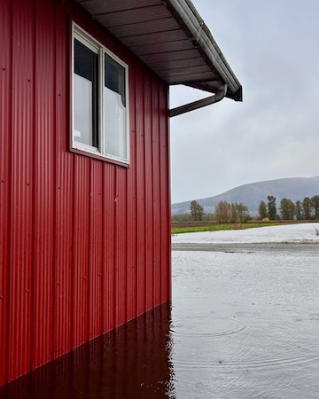 Hopcott Farms cranberry bog pumphouse.png
