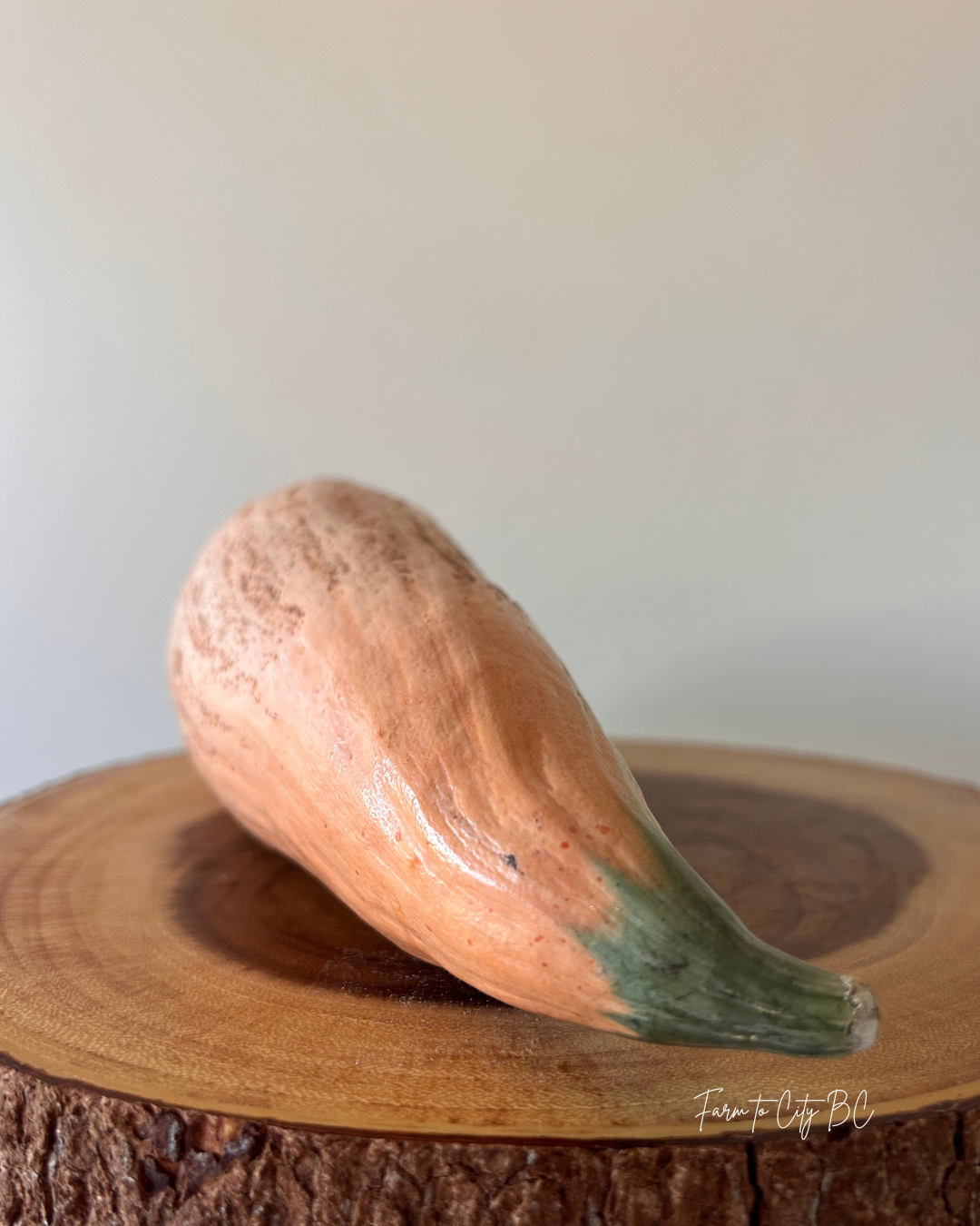 Pink Banana Pumpkin.png