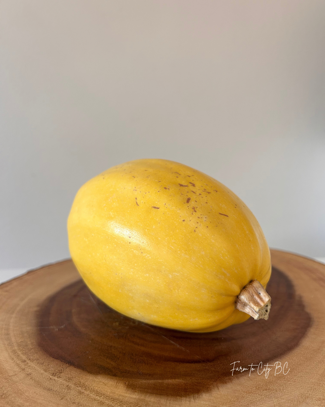 Spaghetti Squash from Harry & Stella's family farm.png