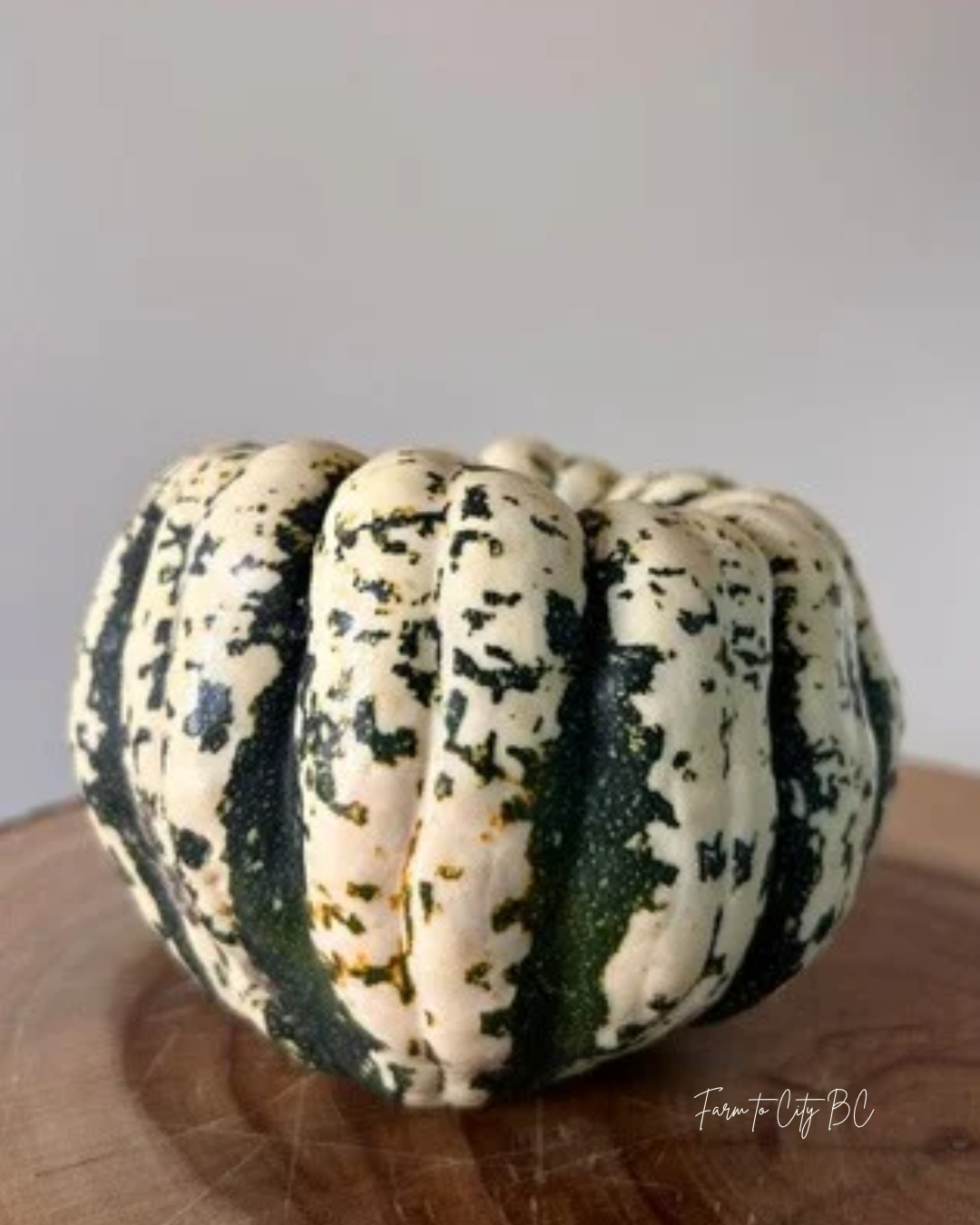 sweet dumpling squash from harry & stella's family farm.png