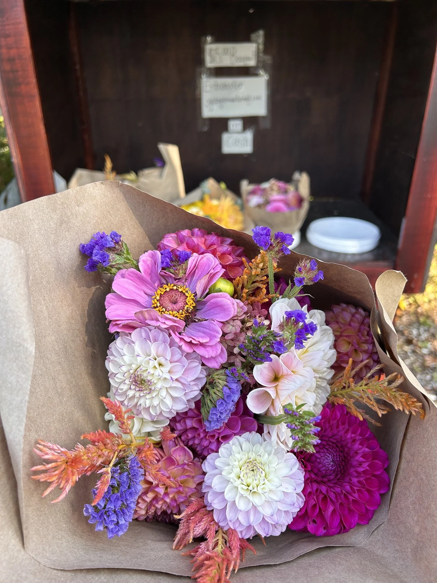 A beautiful fresh cut flower bouquet filled with dahlias and zinnias at a roadside flower stand in Langley, British Columbia.