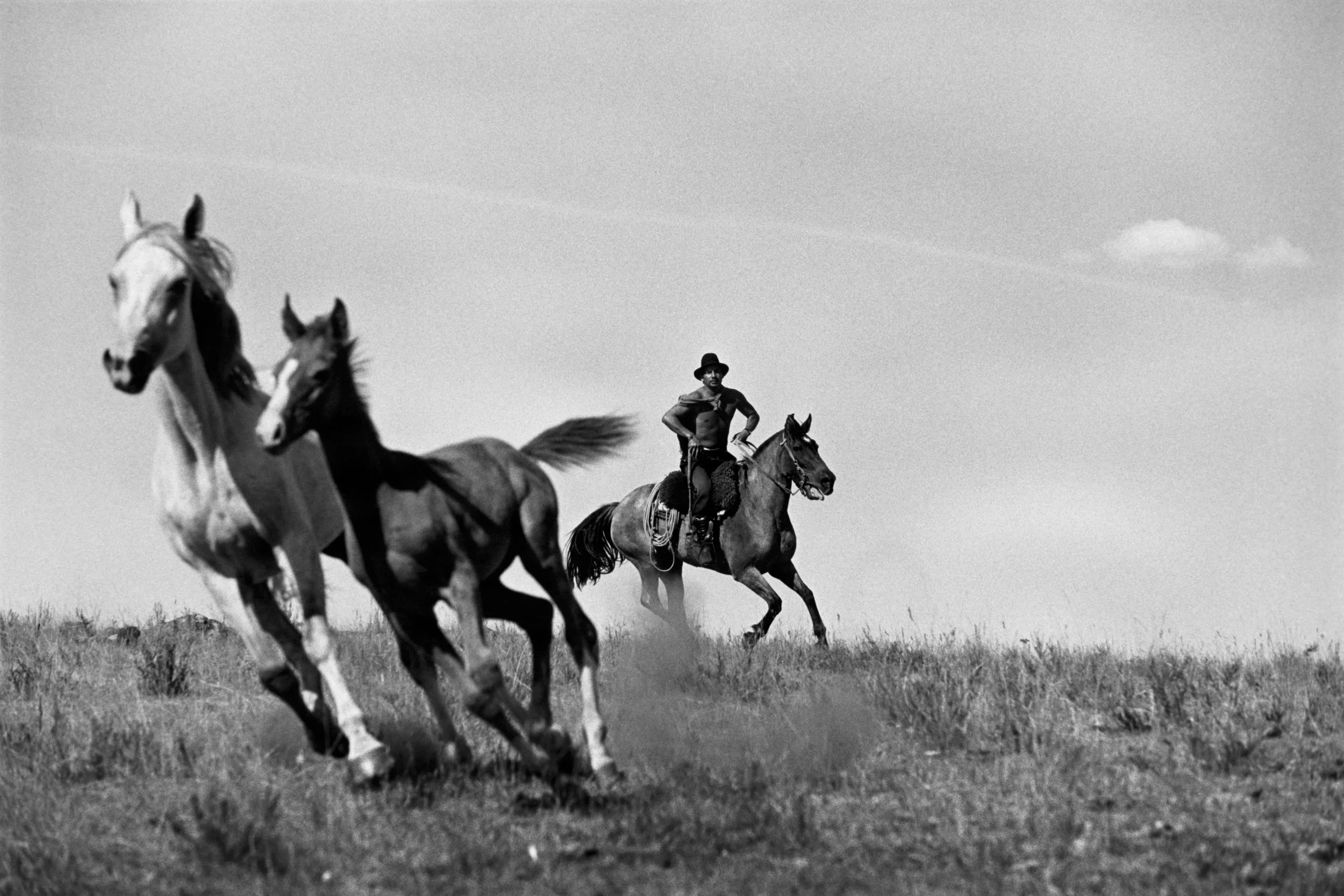  Estancia Santa Beatriz | 2006 |  Uruguay