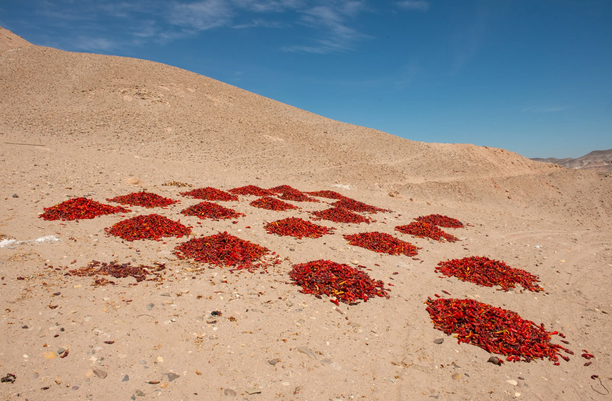 Ají rojo | 2018 | Perú