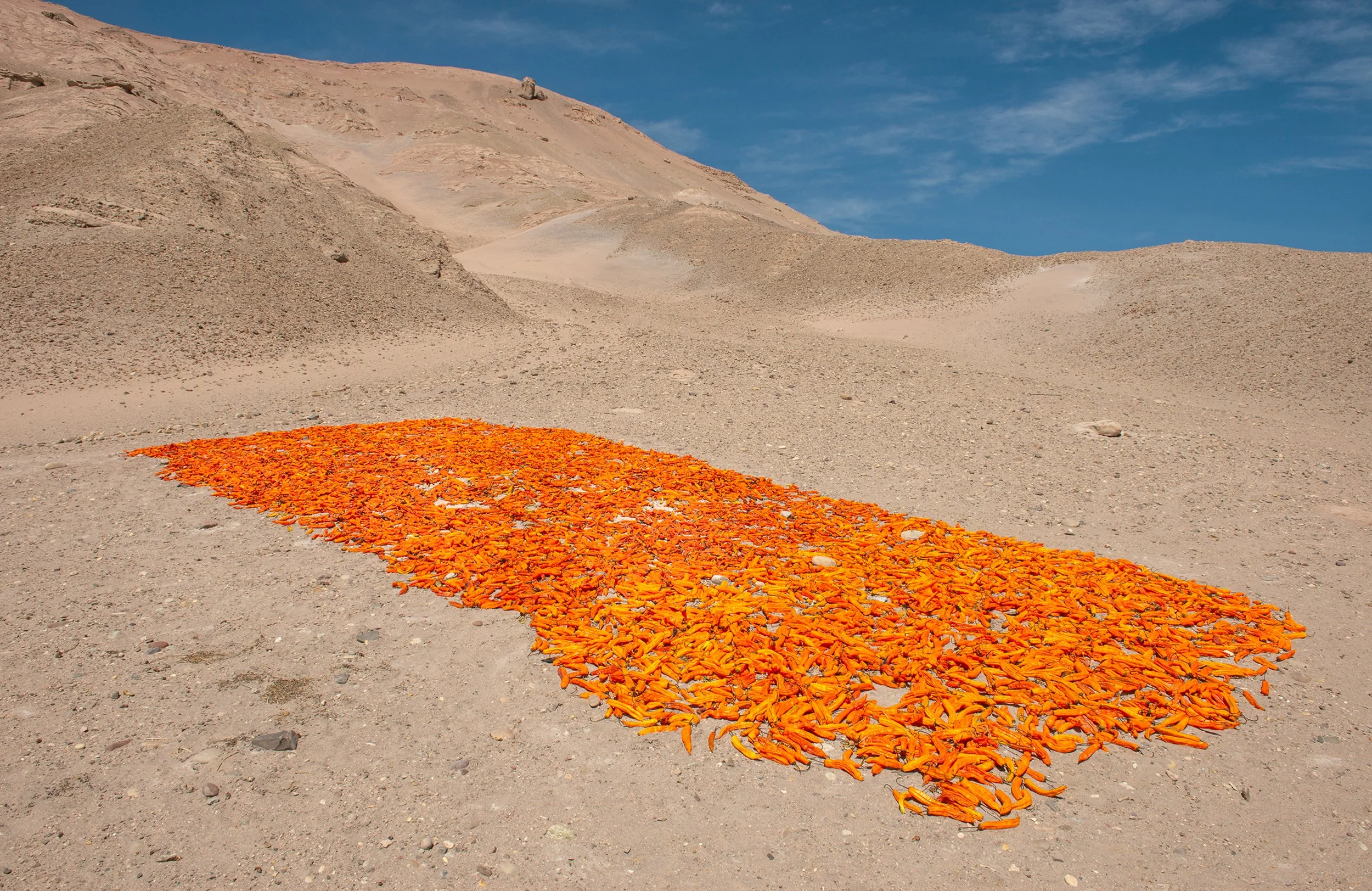 Ají amarillo | 2018 | Perú