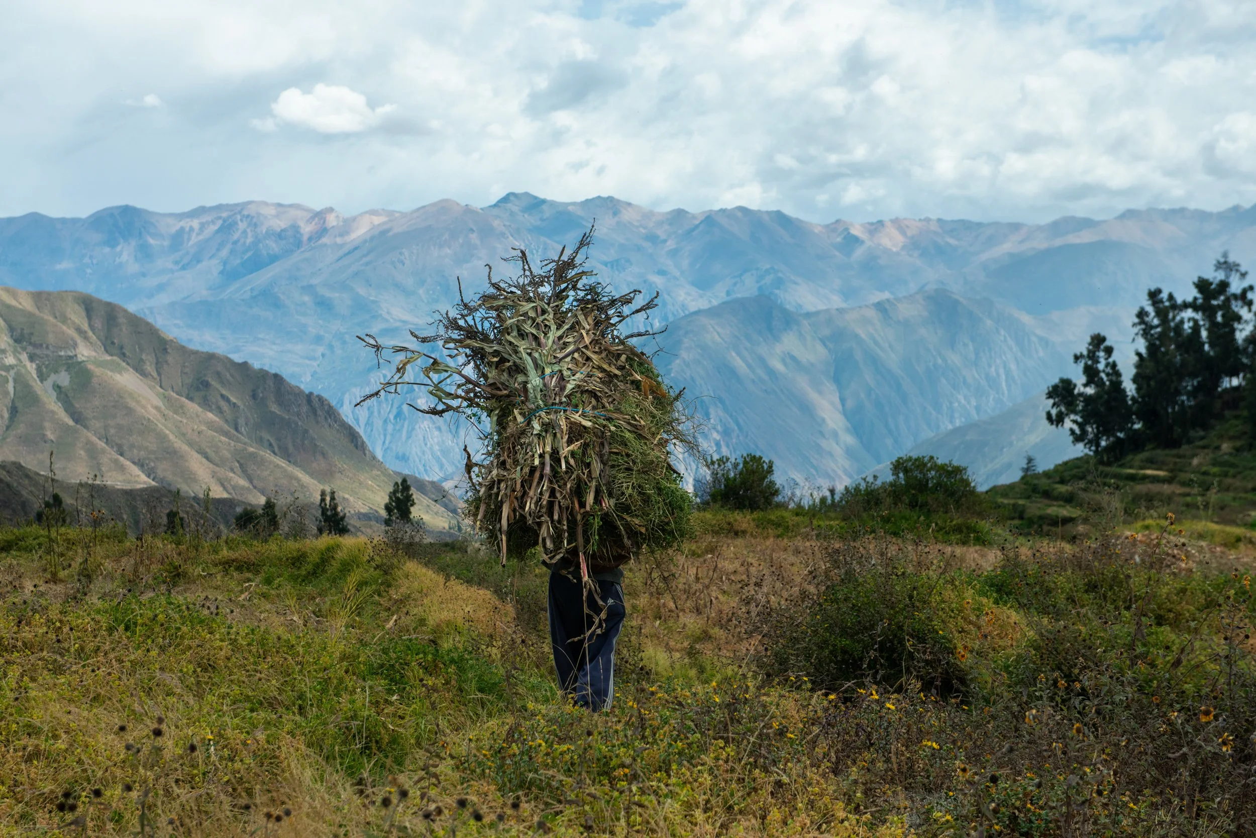 Lampa | 2018 | Perú