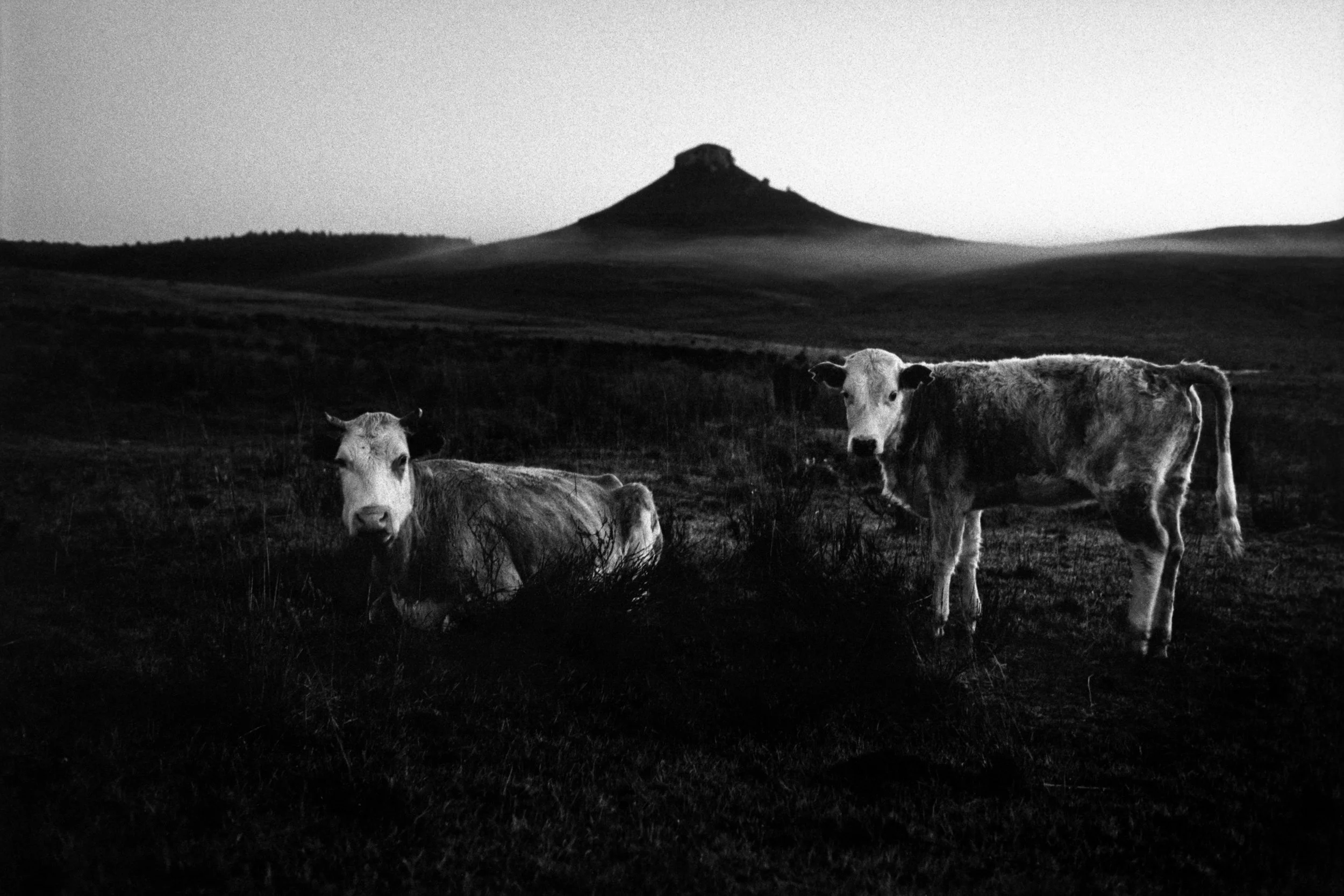 Batovi | 2006 | Uruguay