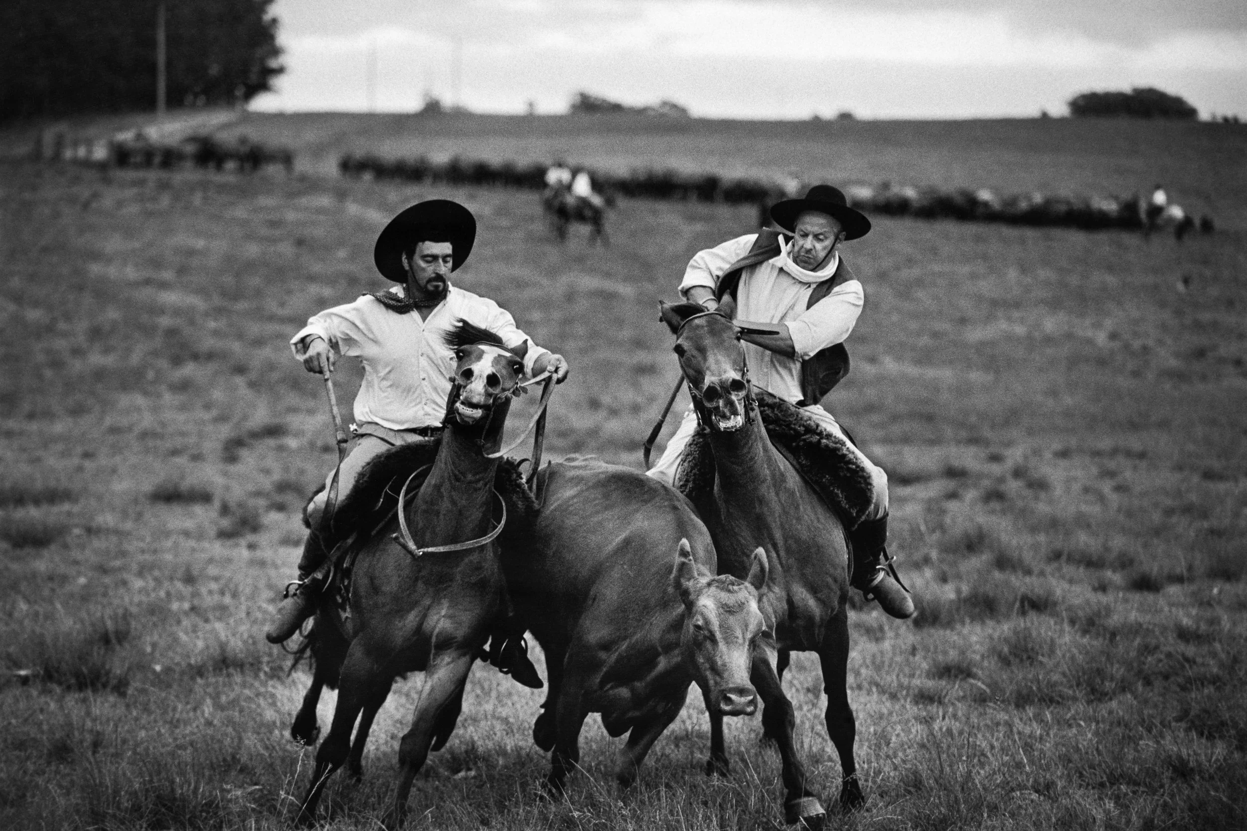   La Frontera | 2006 | Uruguay