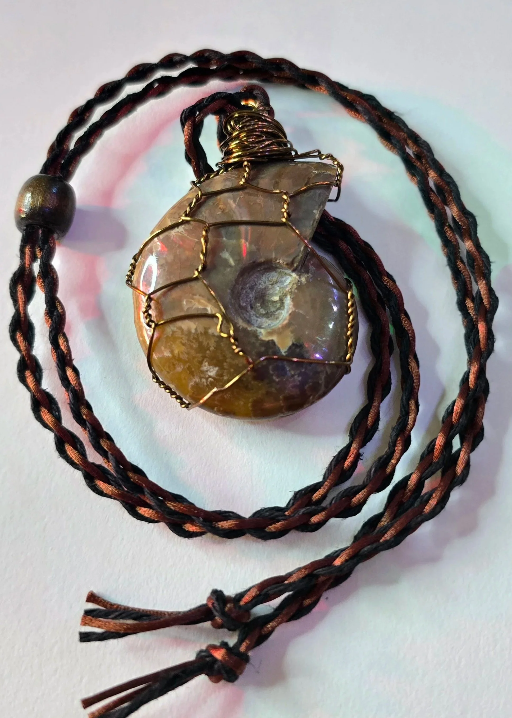 Ammonite Fossil (70 million years old)