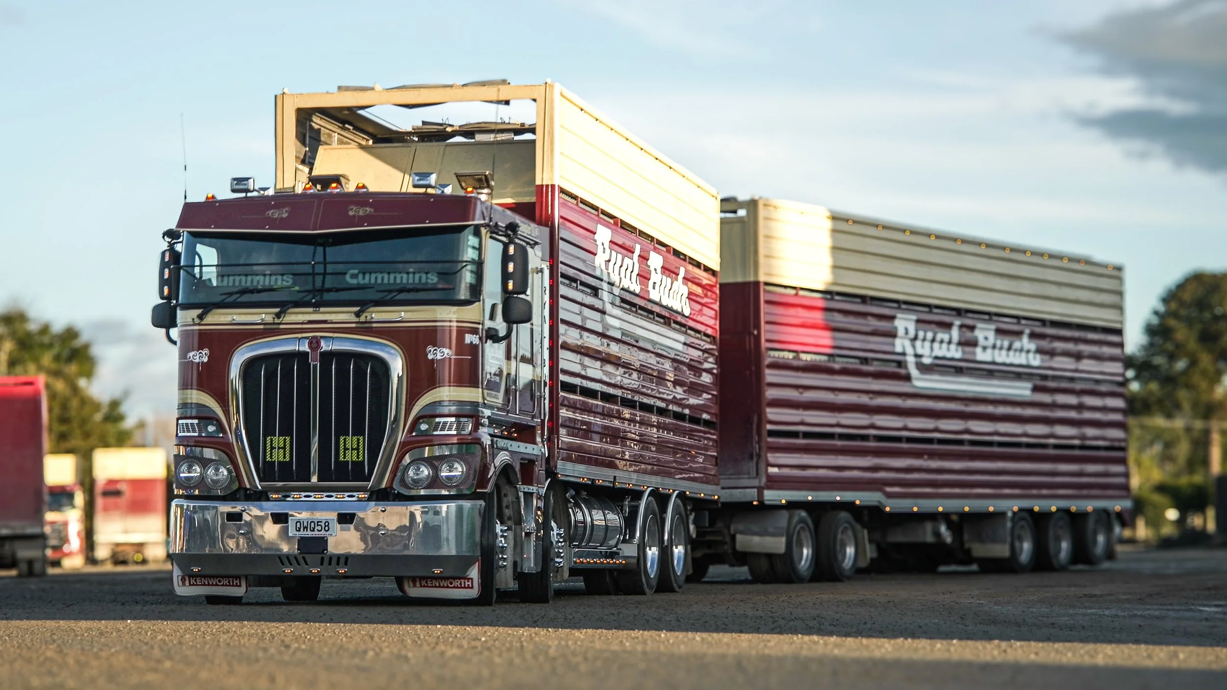Livestock cartage interisland. Stock cartage Southland. Kenworth Stock. Stock Cartage Invercargill
