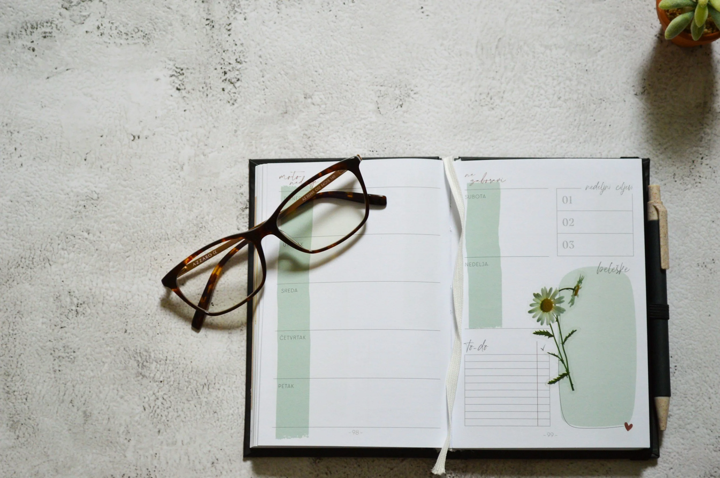 Open planner with a green-themed weekly layout, a pair of tortoiseshell glasses, and a black pen on a textured white surface. A small potted succulent plant is in the top right corner.