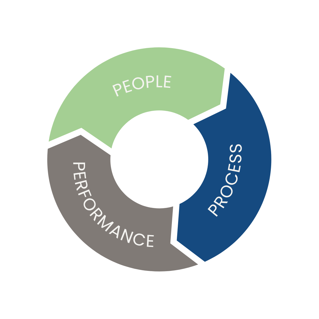 Circular infographic showing four segments labeled People, Process, and Performance in different colors.