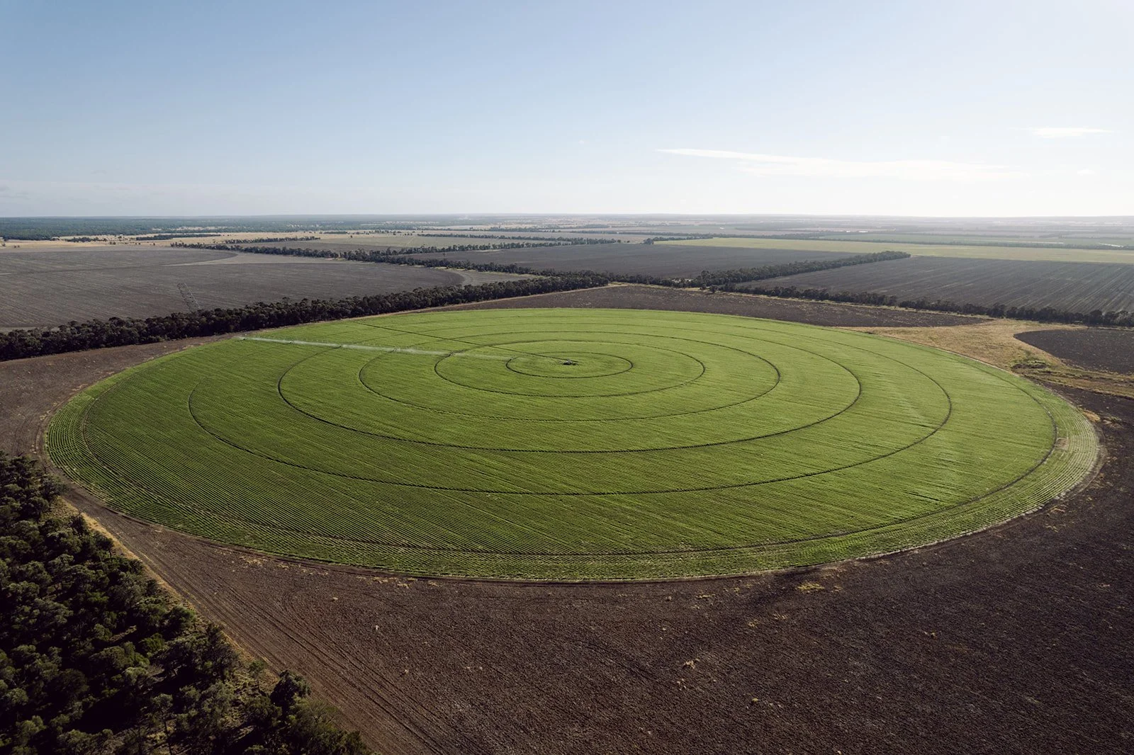 DJI_0093.jpg