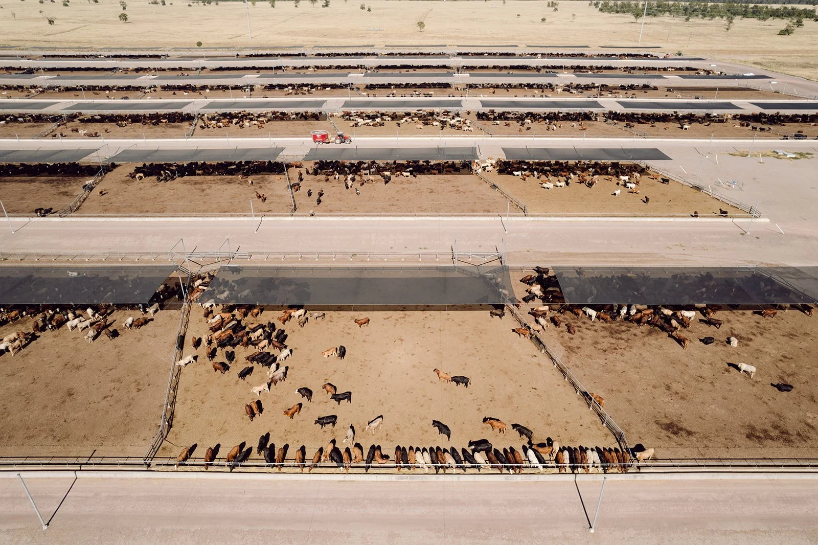 DJI_0145.jpg