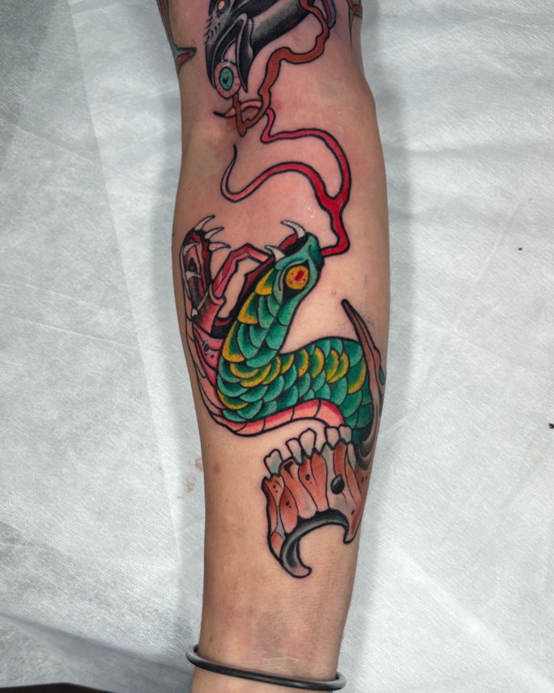 Neotraditional snake and skull tattoo, tattooed in West Palm Beach, Florida. This custom neotraditional piece features a coiled snake intertwined with a skull, combining bold linework, rich color saturation, and smooth shading to create strong contra