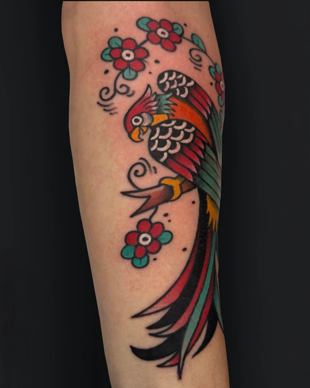 American traditional macaw tattoo done in West Palm Beach, Florida. This custom tattoo features a vibrant macaw  inspired by classic American traditional tattoo art, with bold outlines, strong contrast, and solid color saturation. The flowing composi