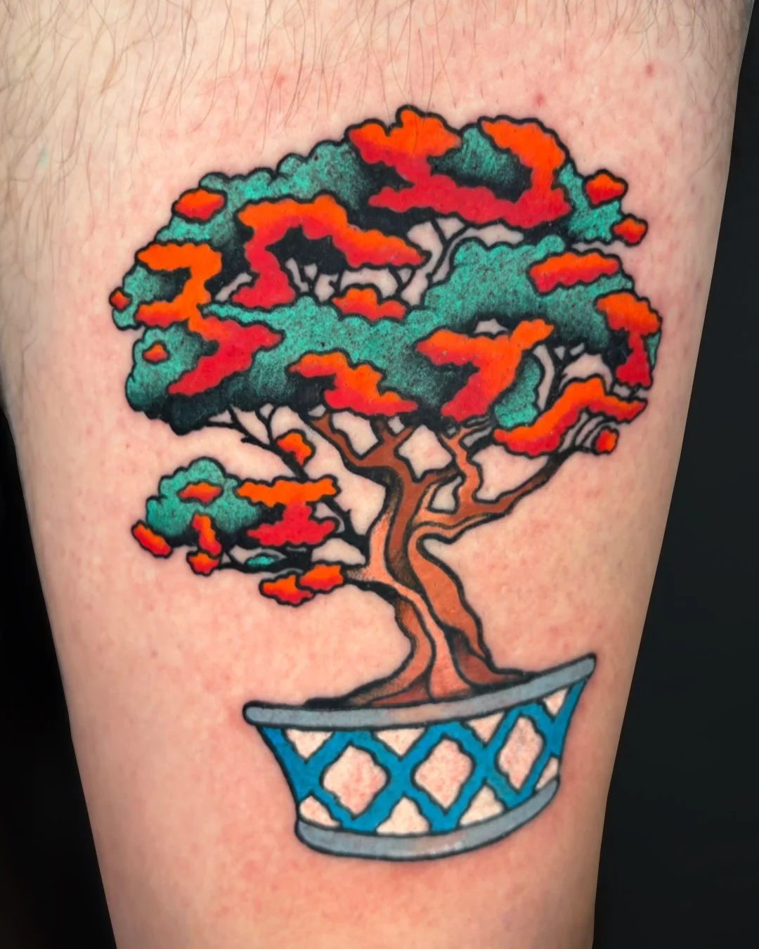 American traditional bonsai tree tattoo done in West Palm Beach, Florida. This custom tattoo features a classic bonsai tree in a decorative pot, created with bold outlines, strong contrast, and solid color saturation true to American traditional tatt