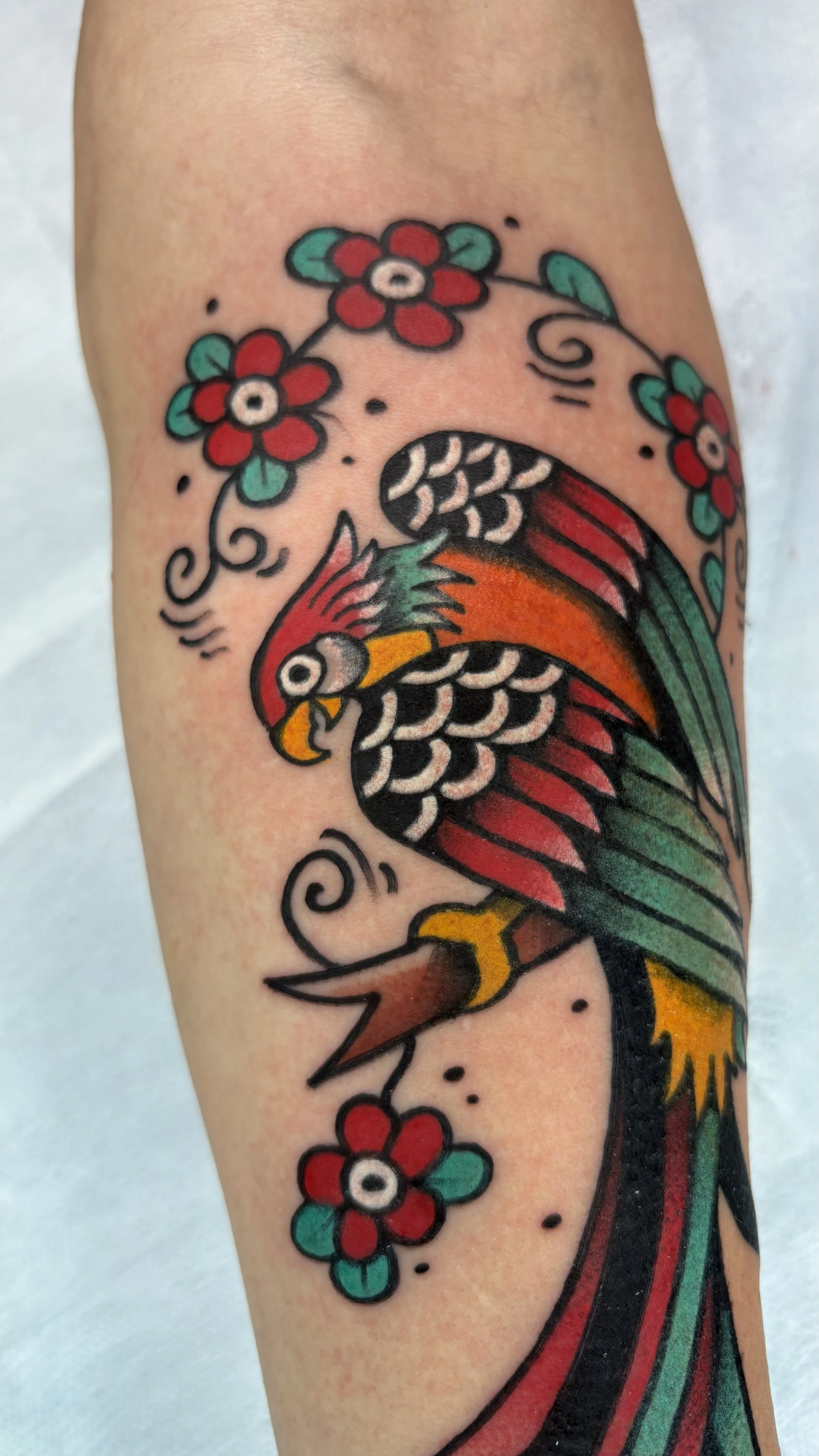 American traditional parrot tattoo featuring bold colors, floral details, and strong black linework. Custom tattoo by Yonathan Suarez, a traditional and illustrative tattoo artist in West Palm Beach, Florida.