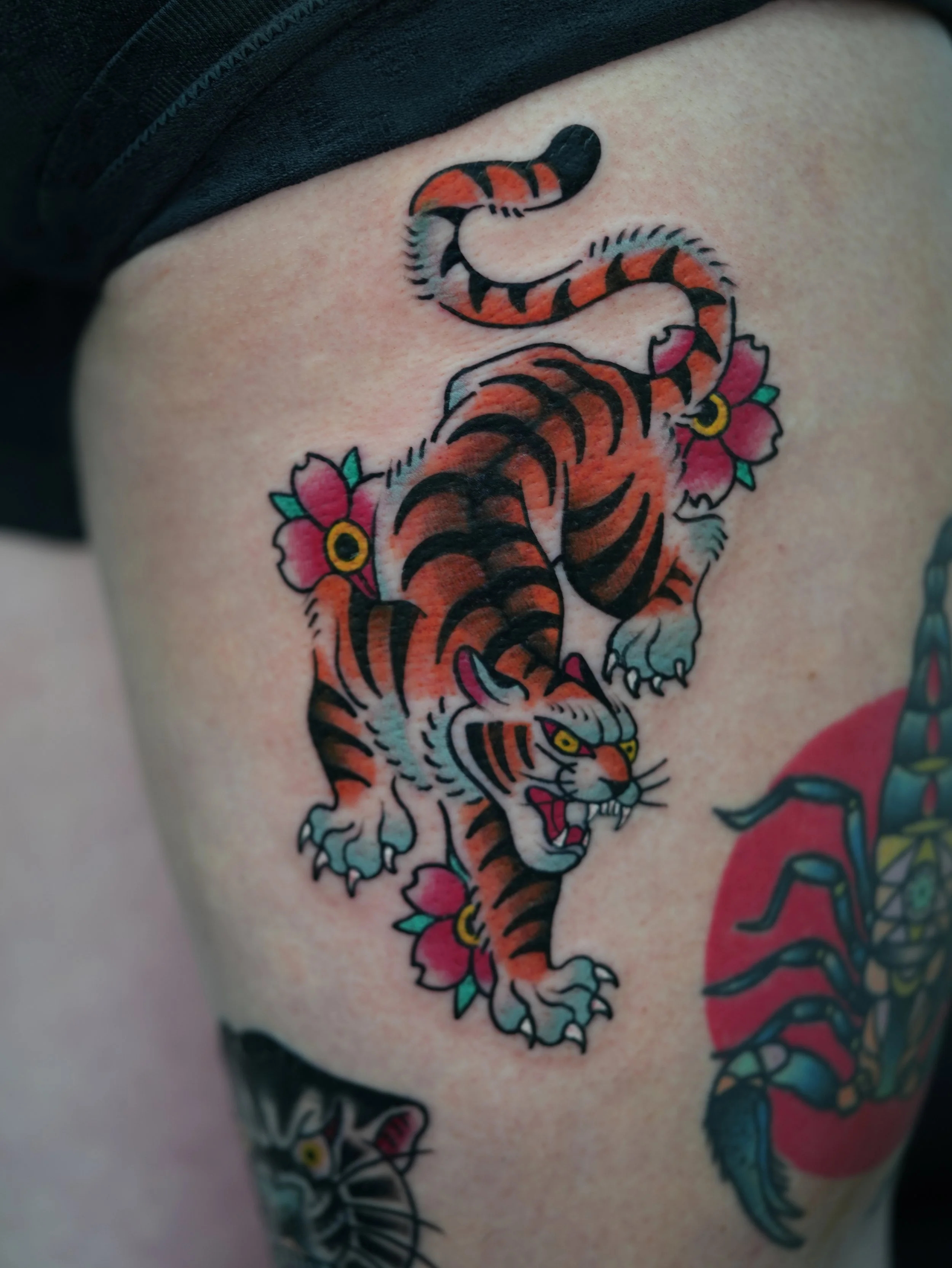 Traditional Japanese tiger tattoo with bold black lines and solid color, by Flow Kappa in West Palm Beach, Florida.