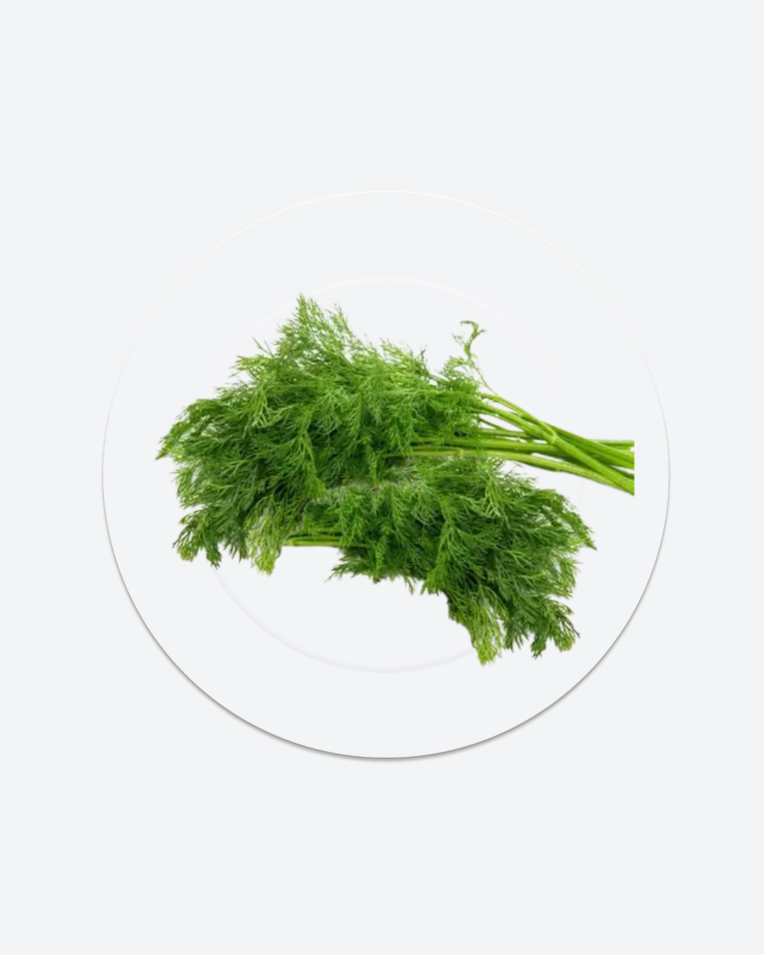 Dill 6 bottles
