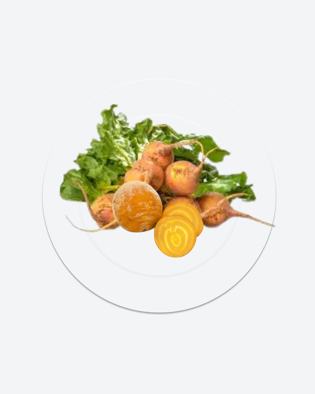 Yellow Beets 6 bottes