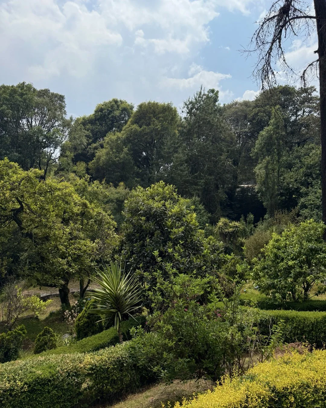 ‎CARRUSELES INVENTARIO CV AI.‎075.jpeg