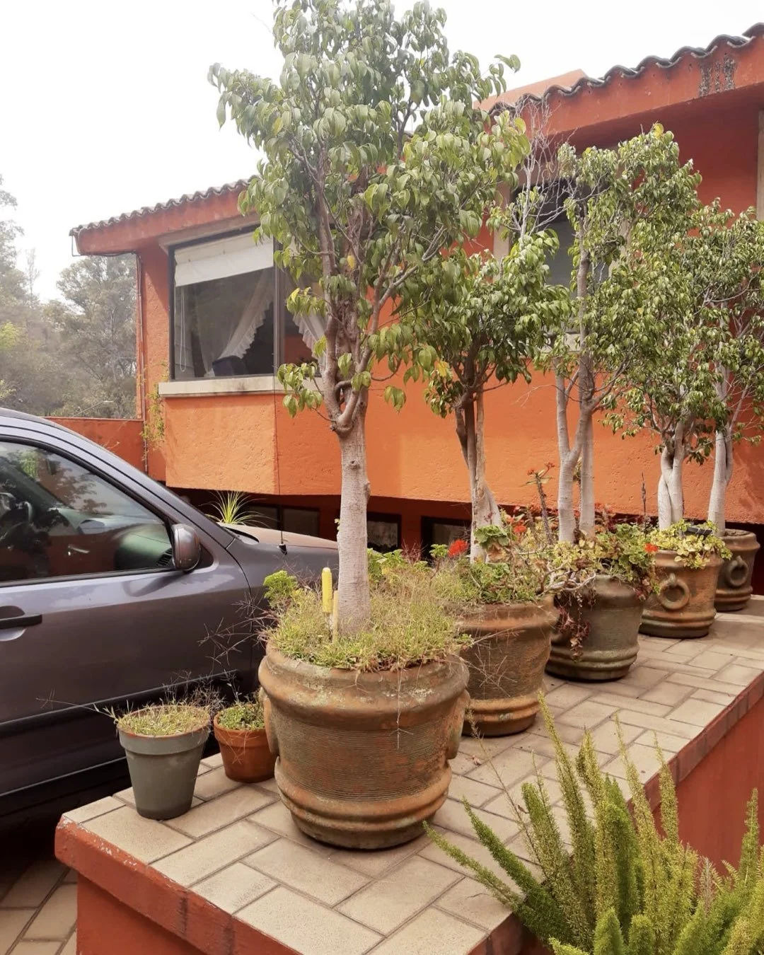 ‎CARRUSELES INVENTARIO CV AI.‎033.jpeg