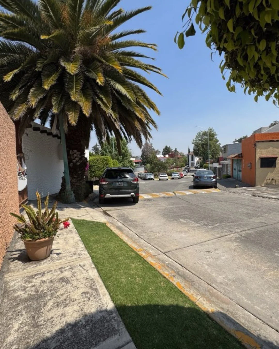 ‎CARRUSELES INVENTARIO CV AI.‎127.jpeg