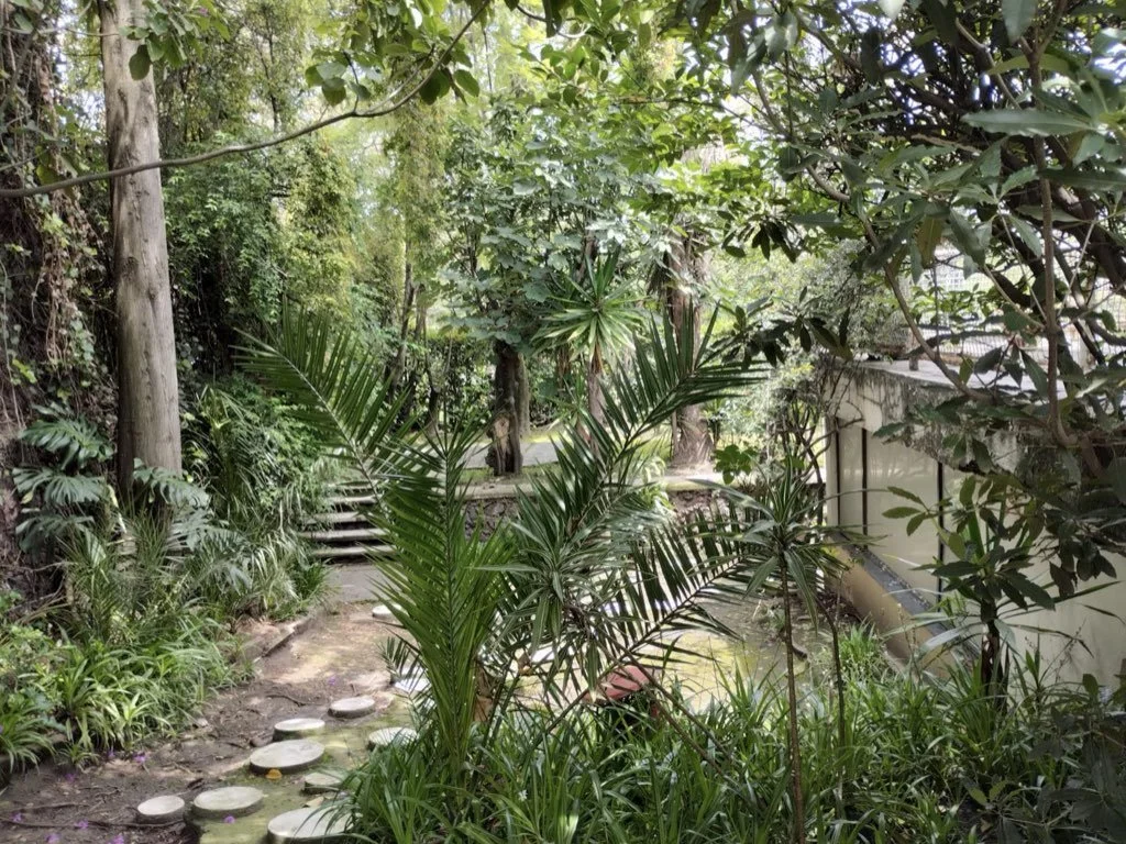 ‎Fotos Inventario Inmobiliaria Sin Marca.‎312.jpeg