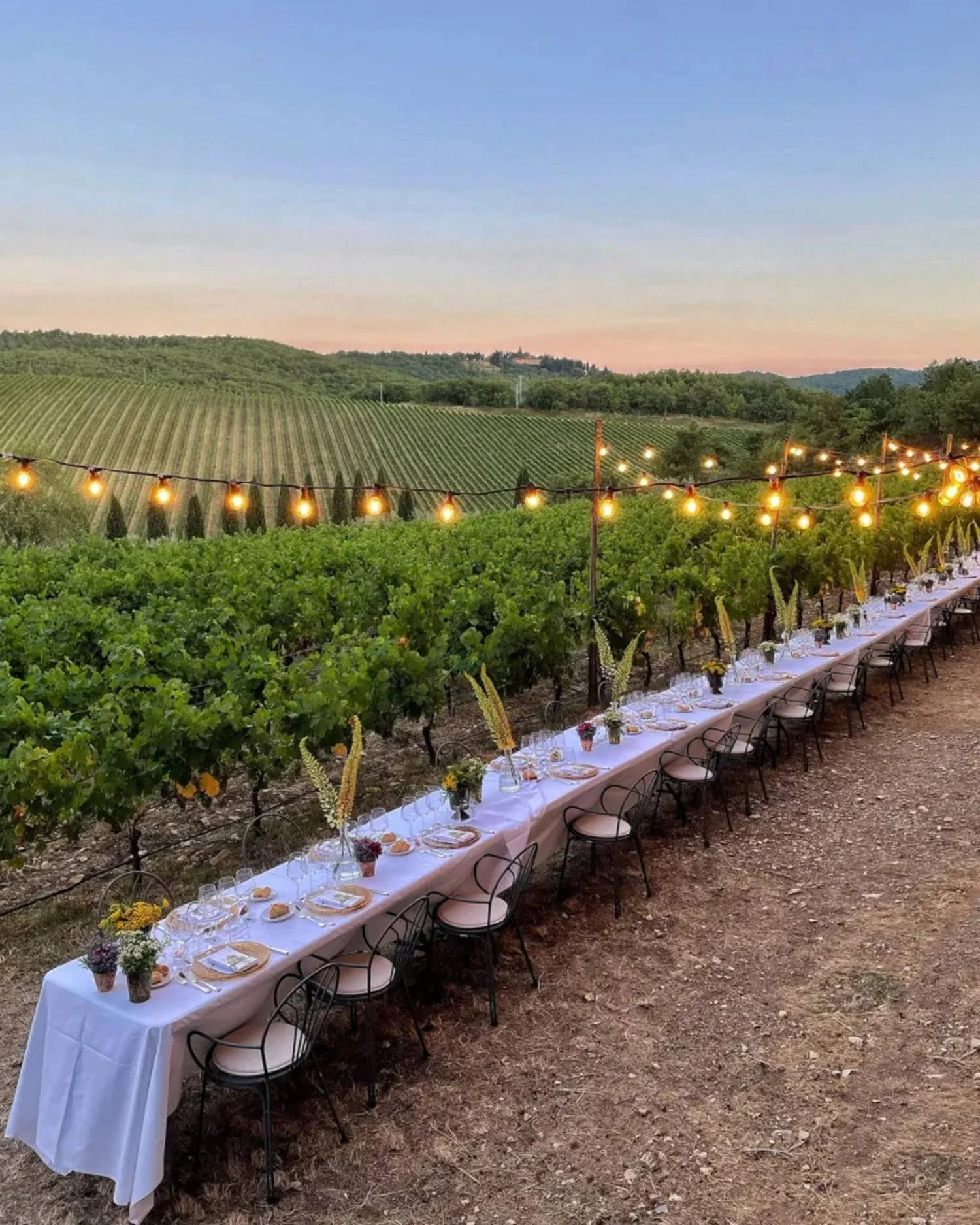 Tuscany_Scenic - Pretty - Vineyard Dining .jpeg