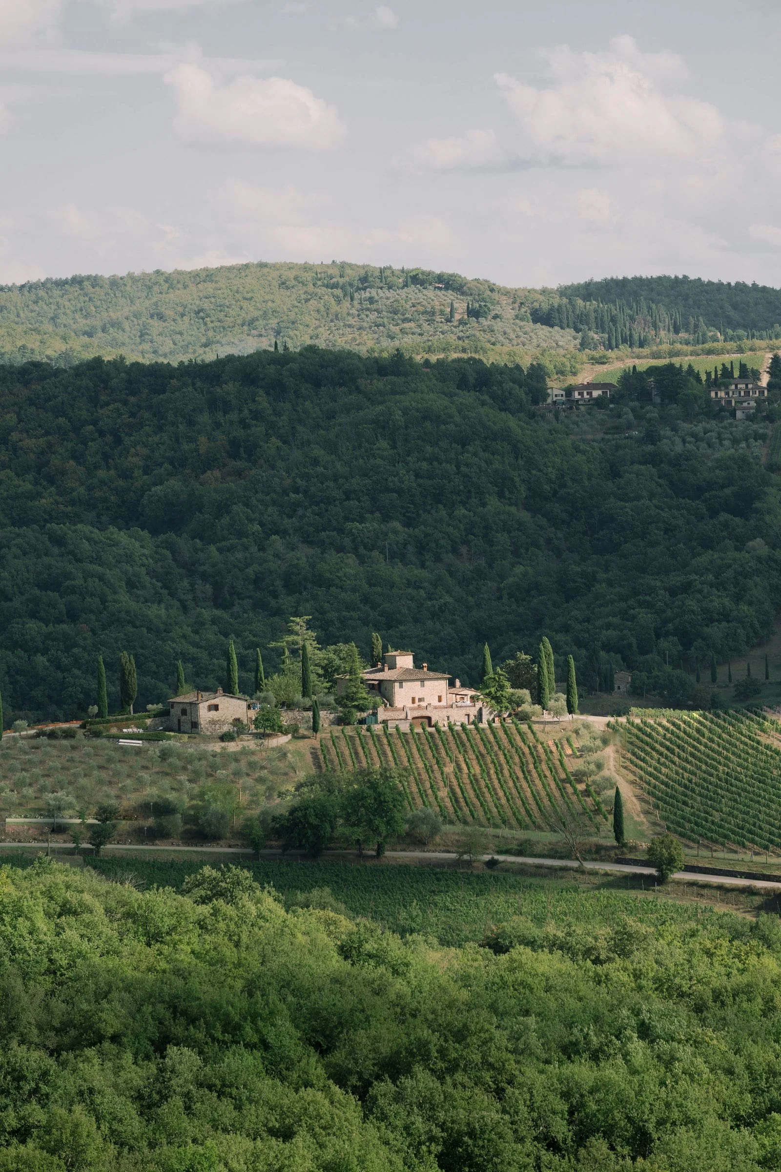 Scenic view of a countryside landscape with rolling hills, lush green trees, a vineyard, and rustic houses in a rural setting.