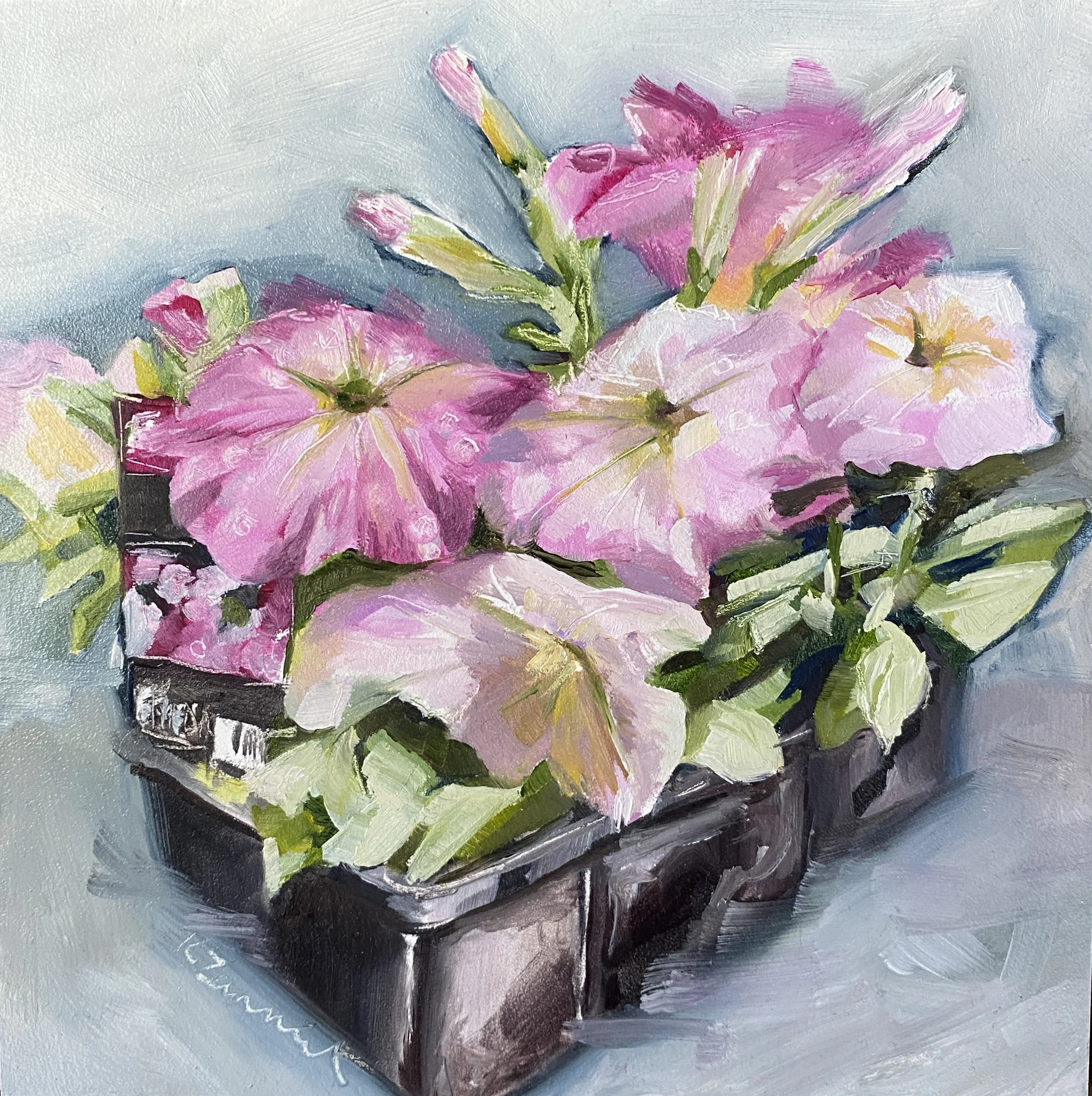 Punnet of Petunias.jpg