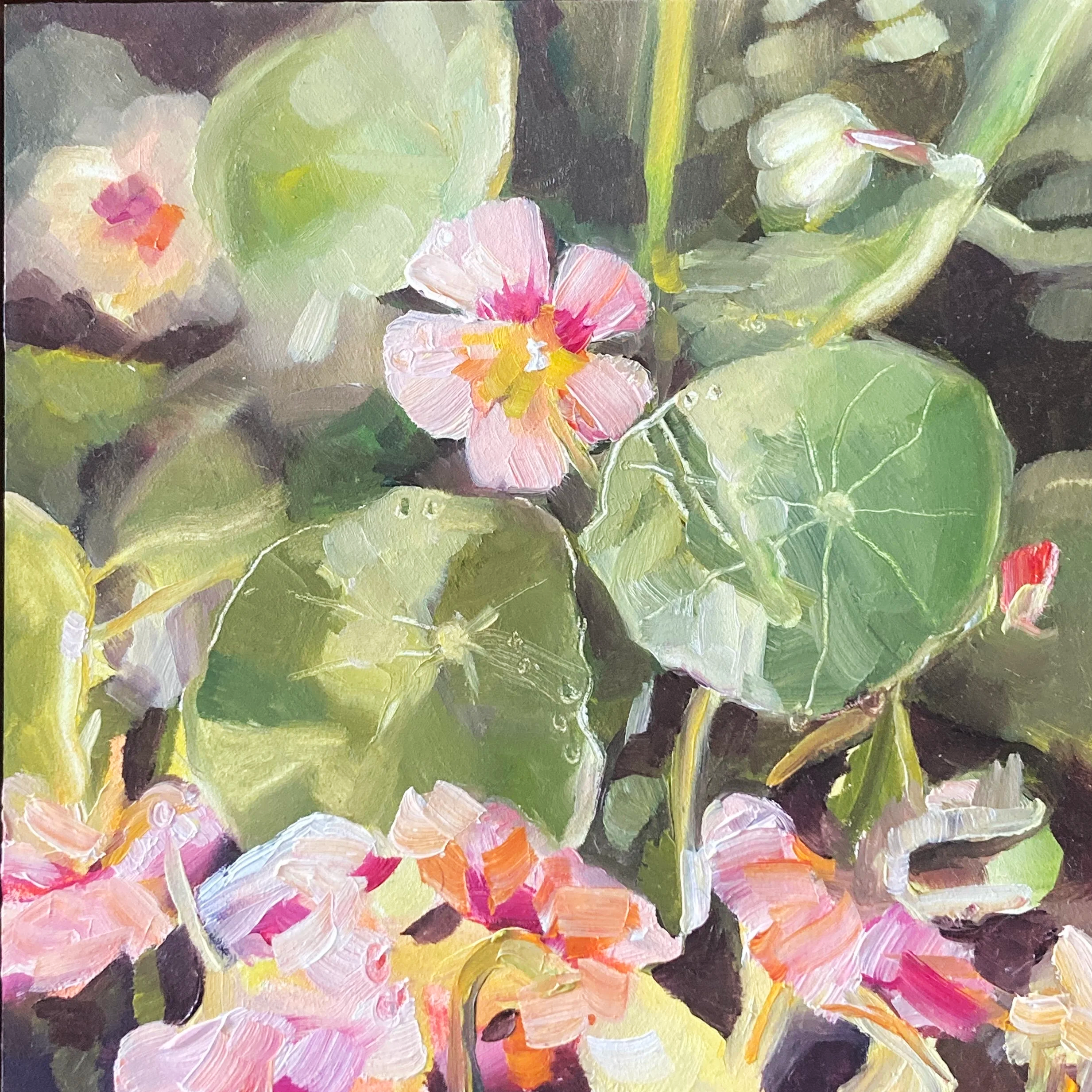 Nasturtiums 14.5x14.5cm $150