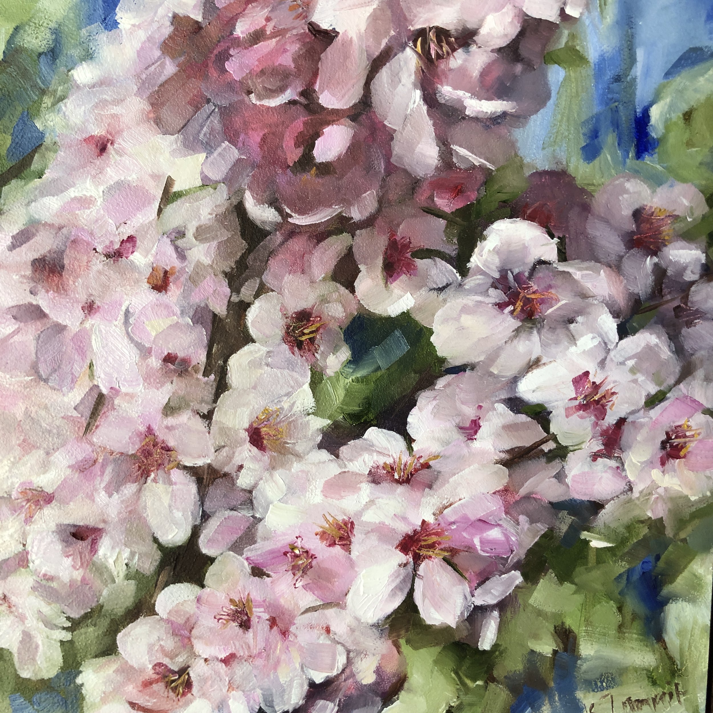I love pink and these cherry blossom flowers were so abundant and fresh when I saw them.  When you paint flowers like this I like to paint everywhere continuously but the trick is to make areas in shadow and capture the sunshine hitting others