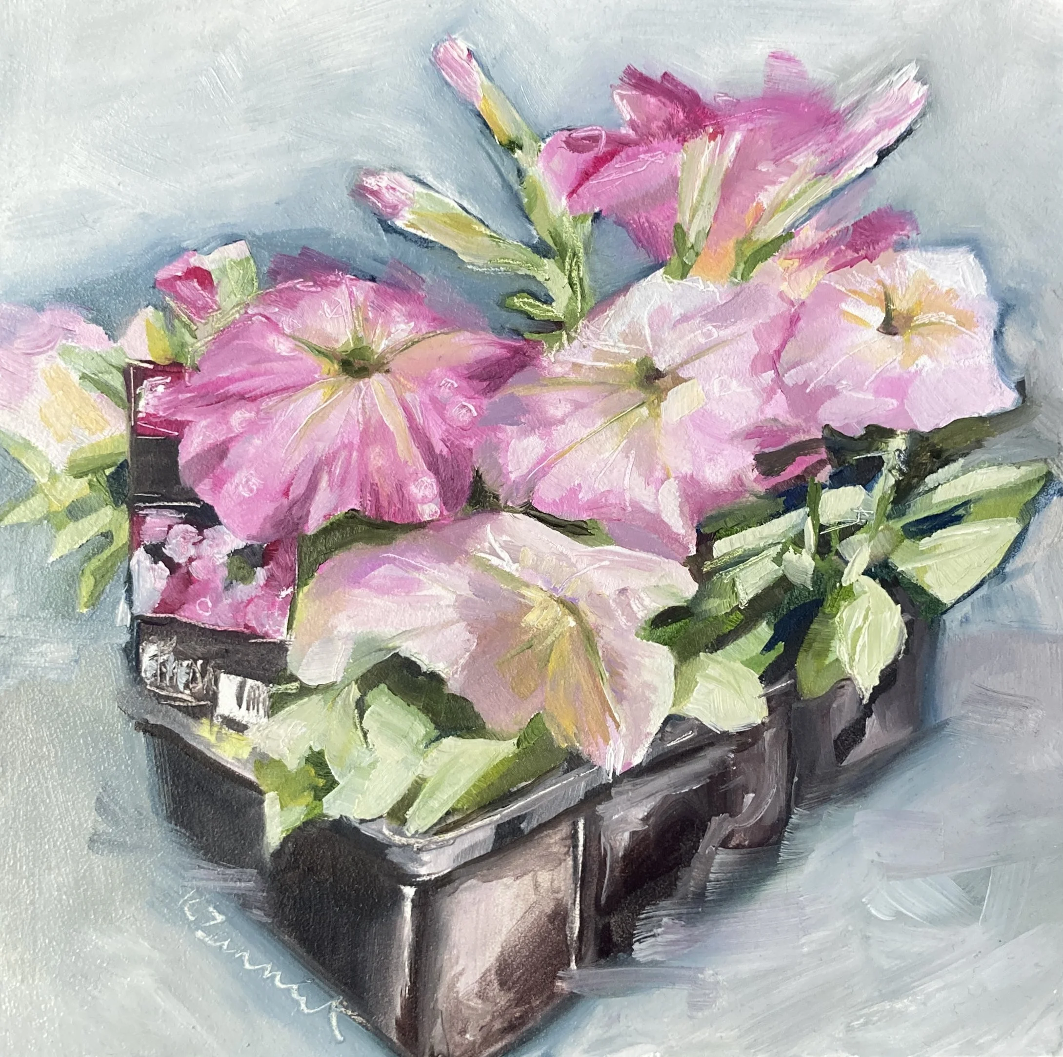 Punnet of Petunias 17x17cm - On Hold