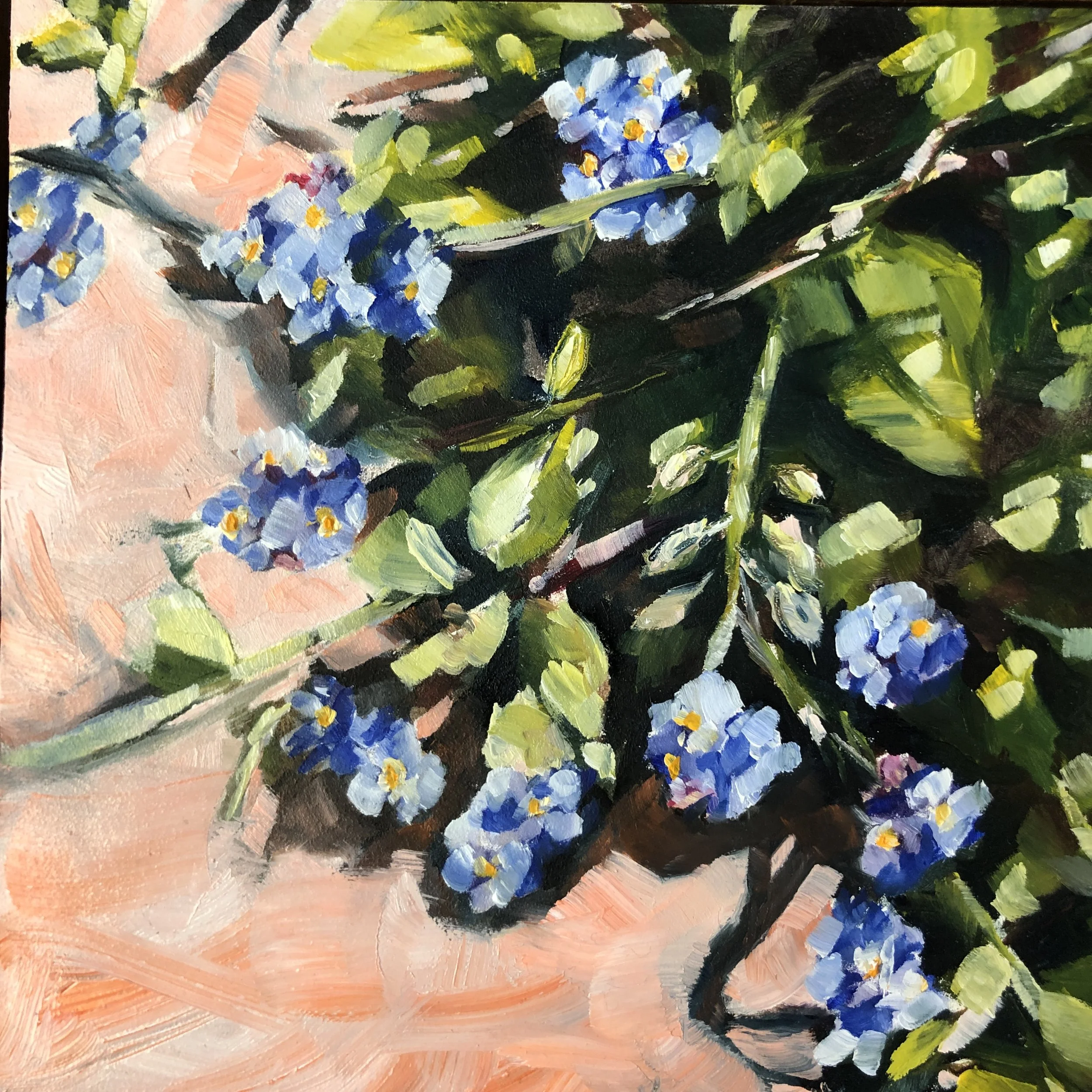 These little flowers are so enchanting and the blues that they come in range from very dark blue to very pale.  The little yellow centres are perfect and these little plants grow freely if you let them