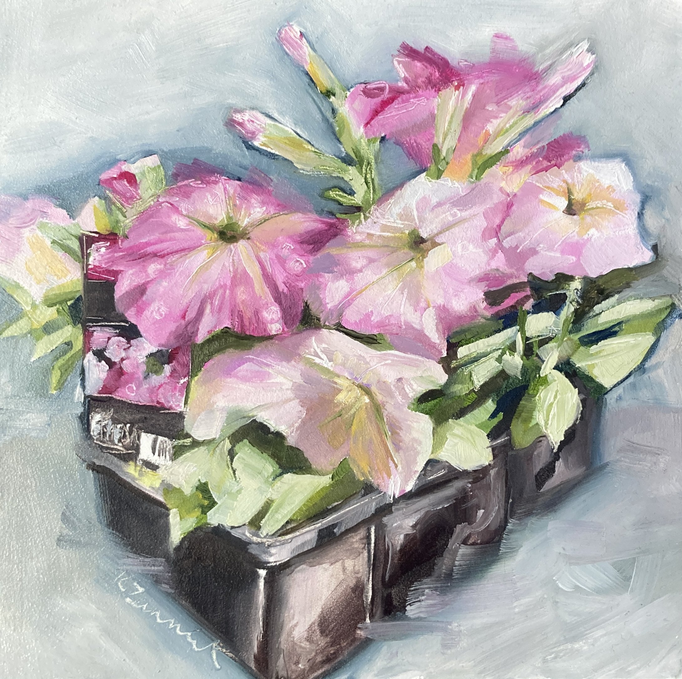 Punnet of Petunias
