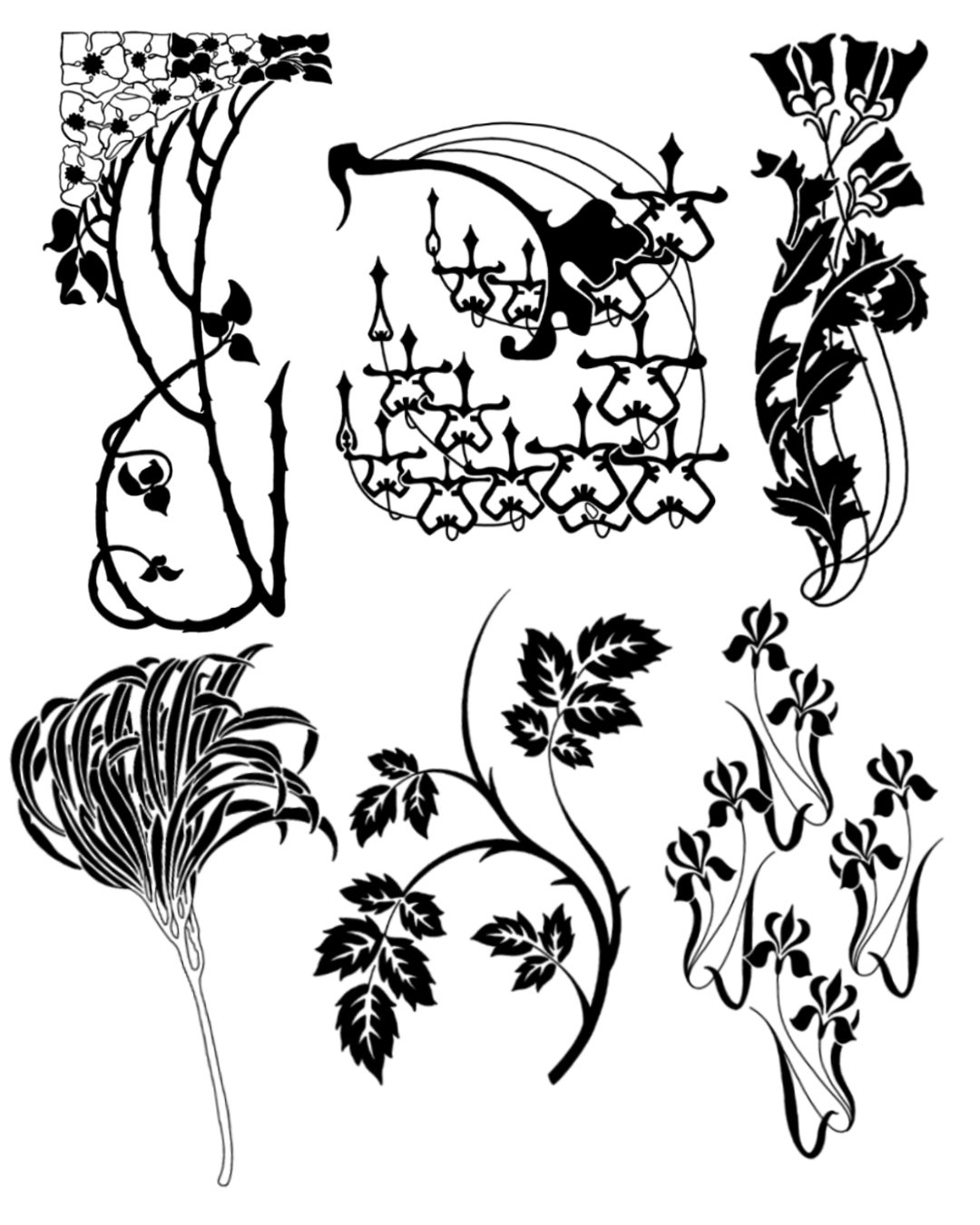 IMG_2666.png
