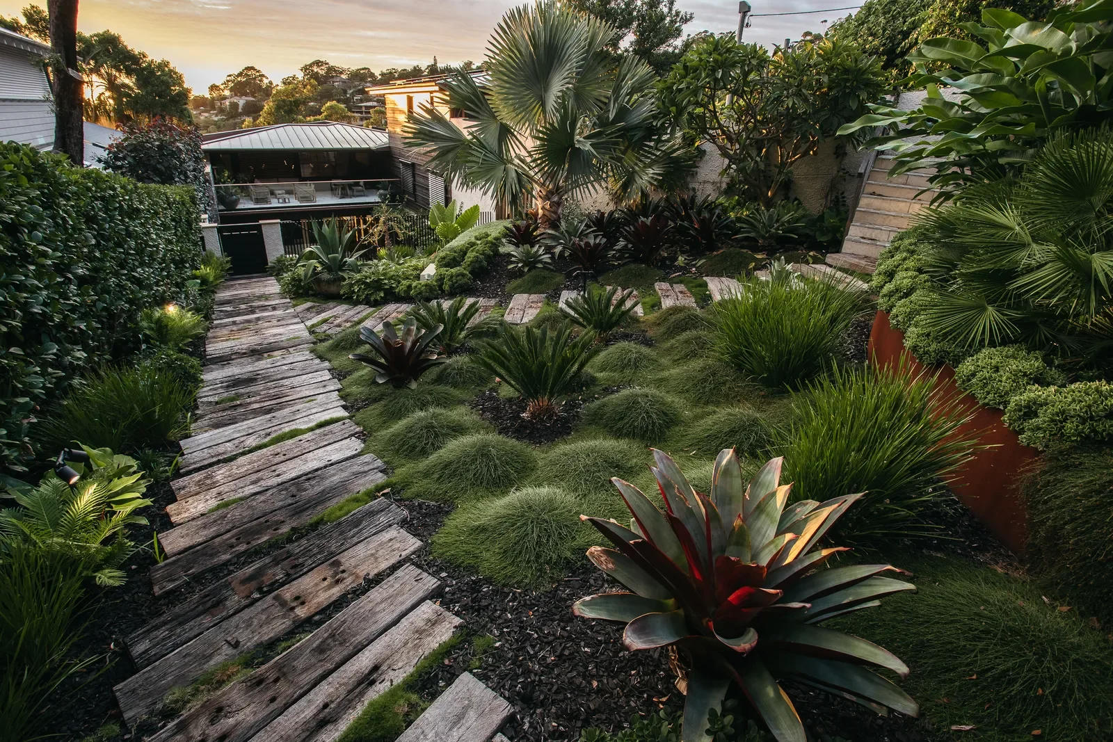 palm-beach-angophora-023.webp