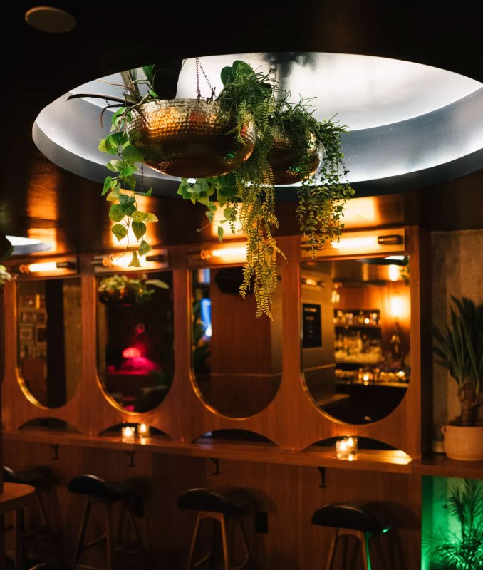 Hanging metallic planters with lush green plants above a bar counter in a dimly lit, stylish restaurant or bar. The background features wooden decor and warm ambient lighting.