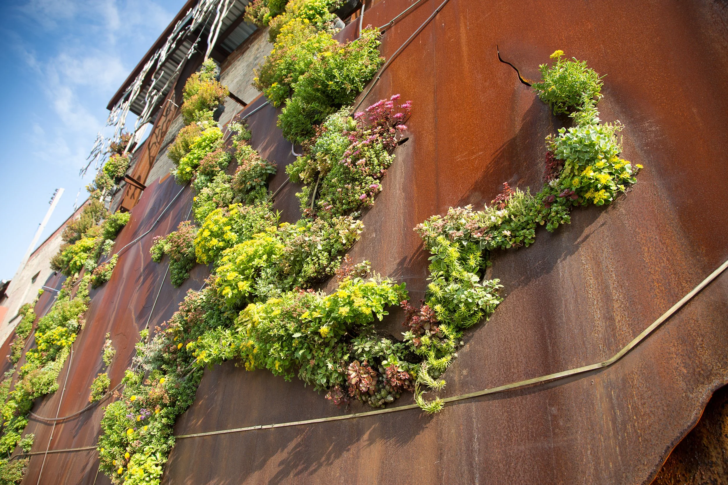 Flowers arranged on a rusted metal surface, forming a semi-circle and a grid pattern against a partly cloudy sky and industrial structures in the background.