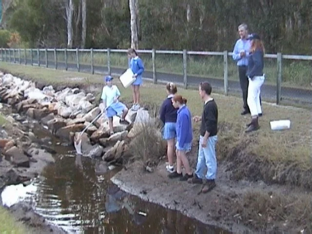 A group of children and adults by a small creek, some children are sitting on rocks near the water, with one holding a fishing rod, and the others standing on the bank.