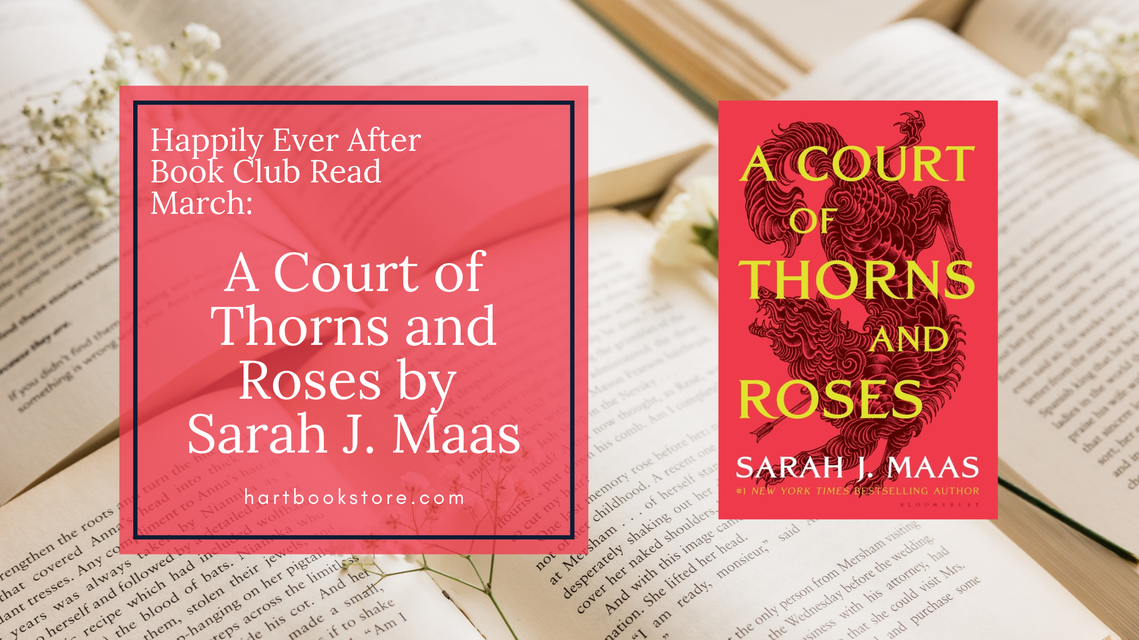 HEA Book Club - March Read