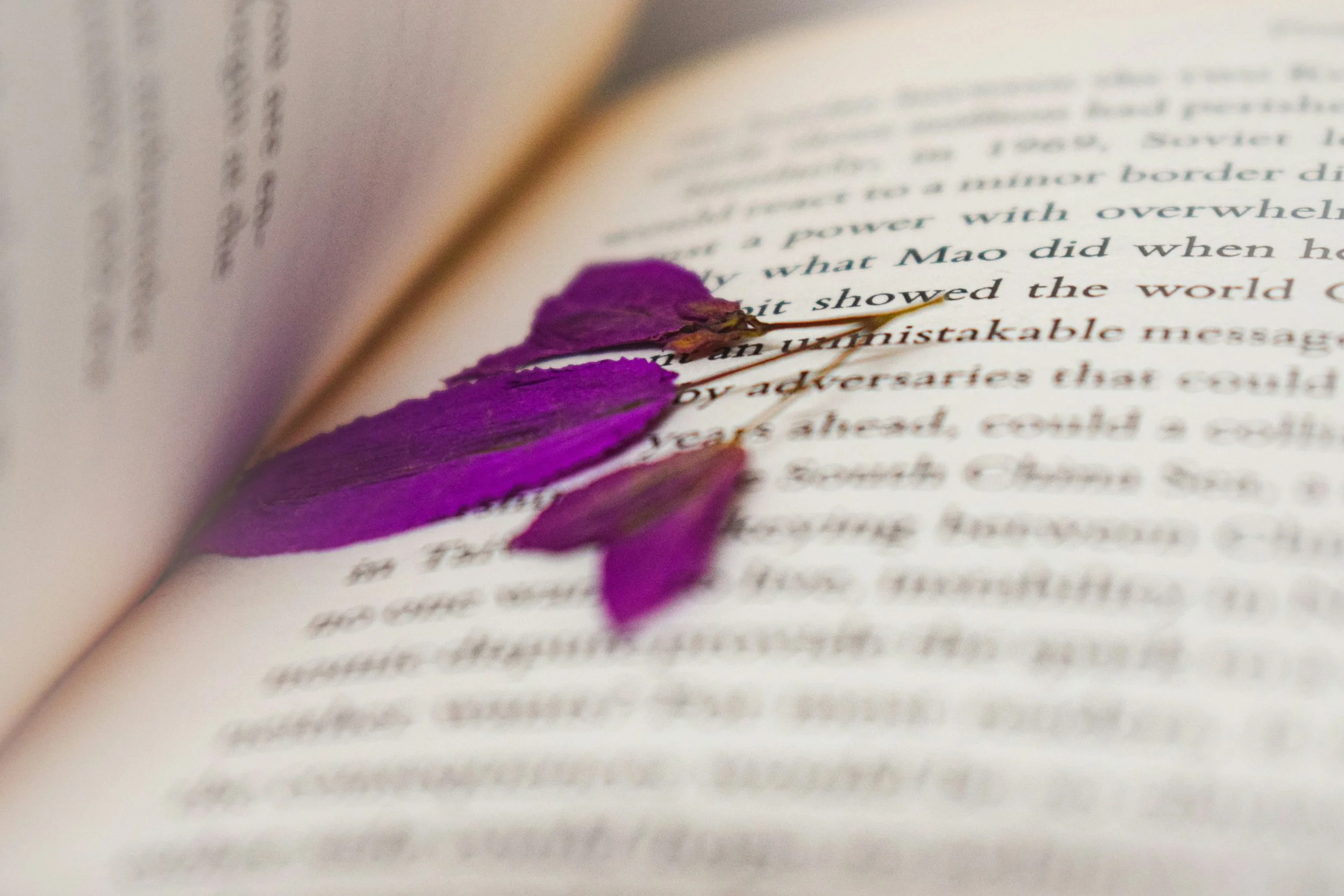 Australian Romance Readers multi-city, multi-author signing events 2026