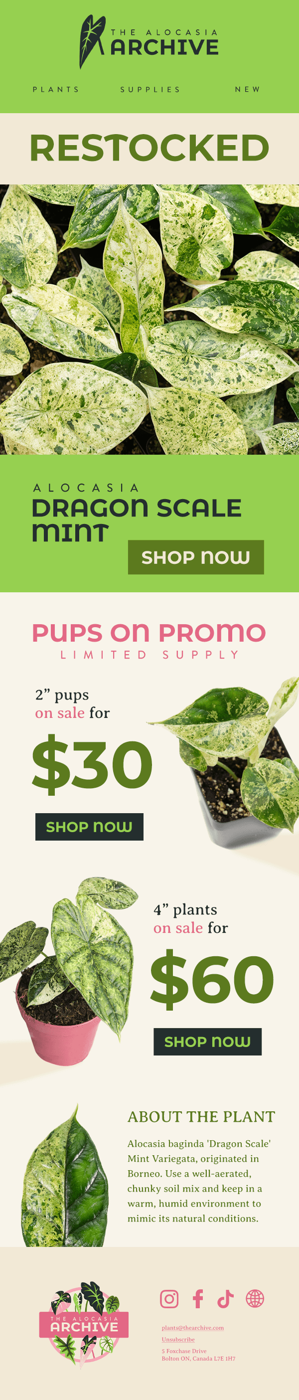 Artboard 2 - Restock.png