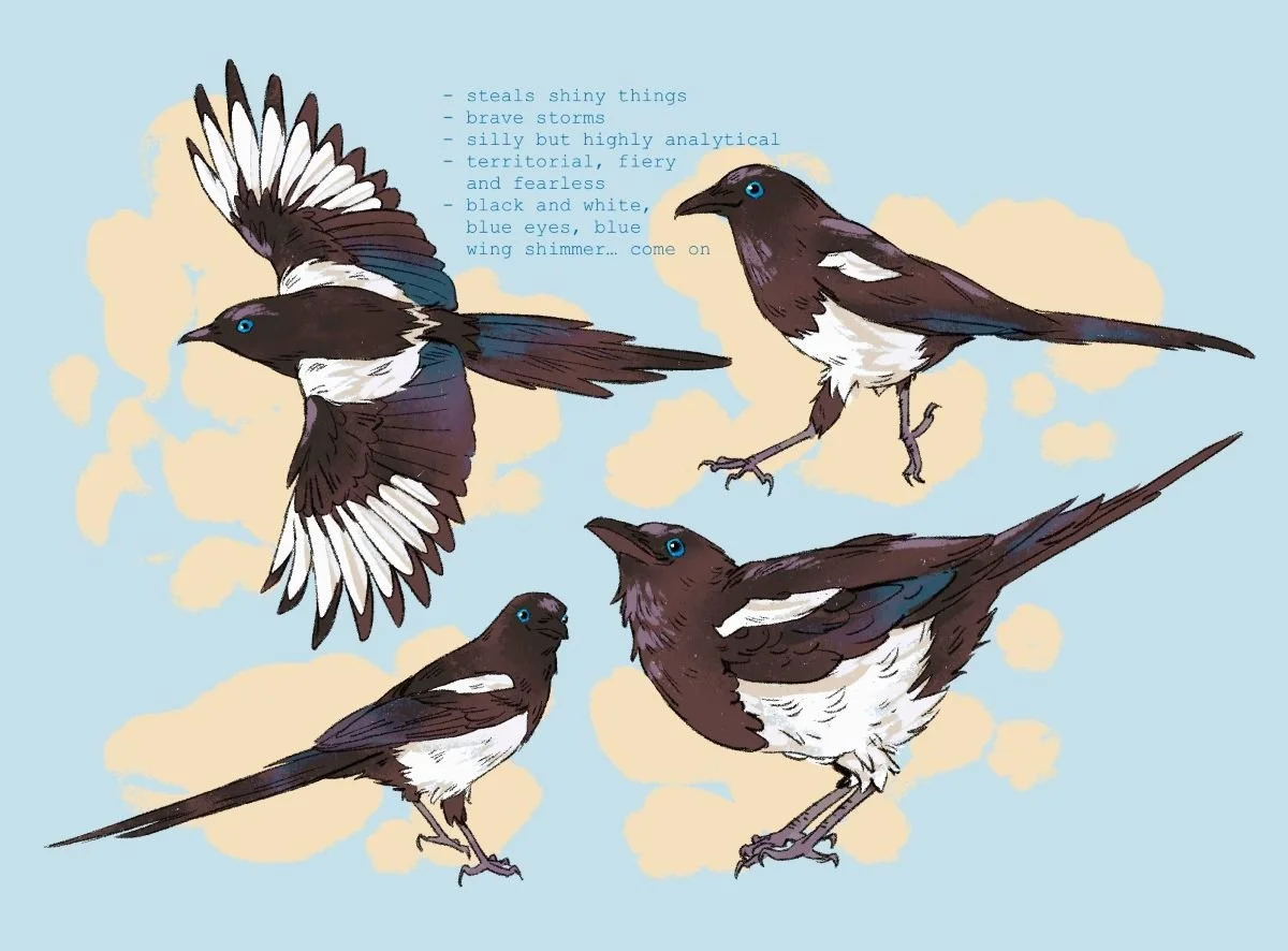 magpie.jpg