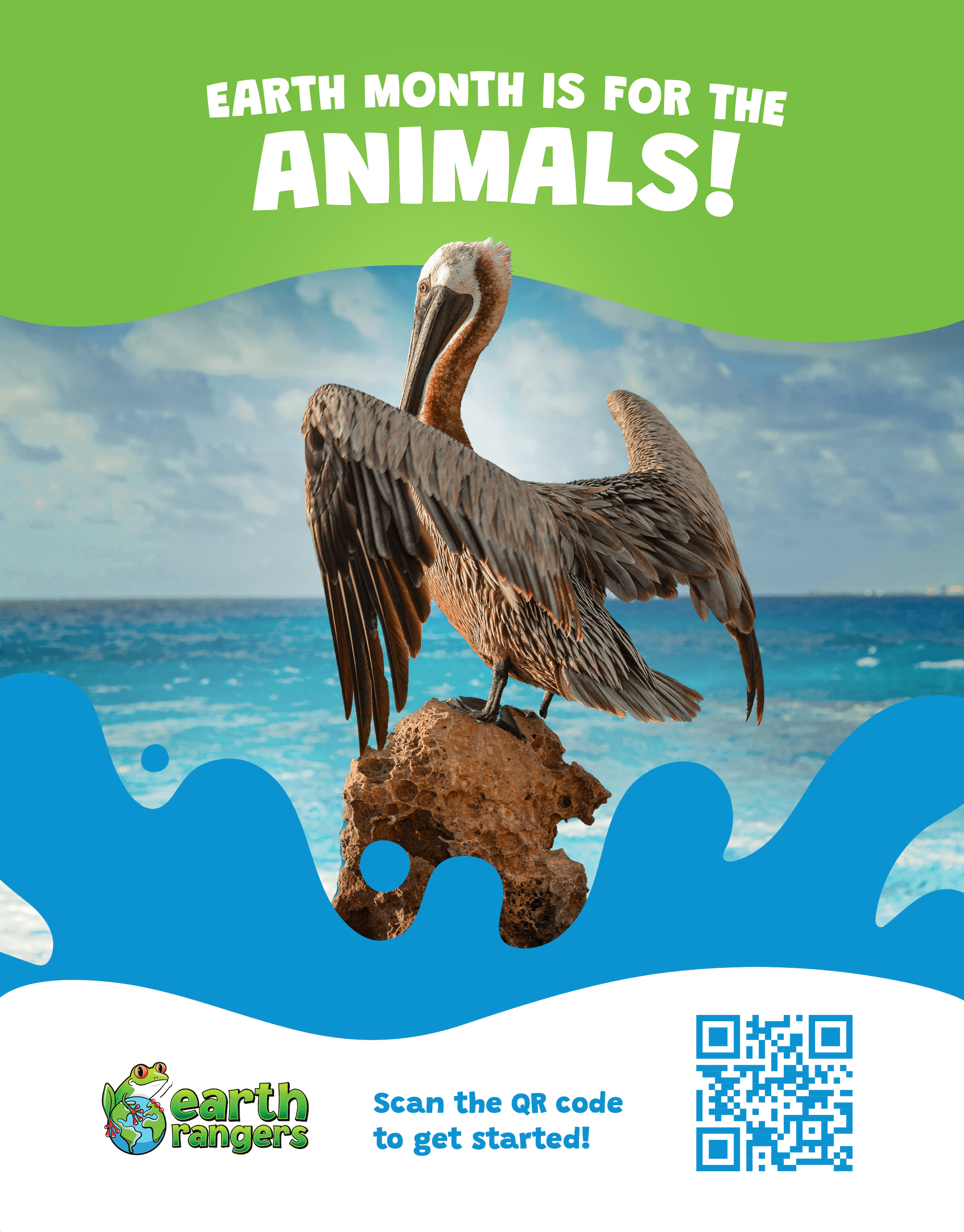 EM poster pelican.png