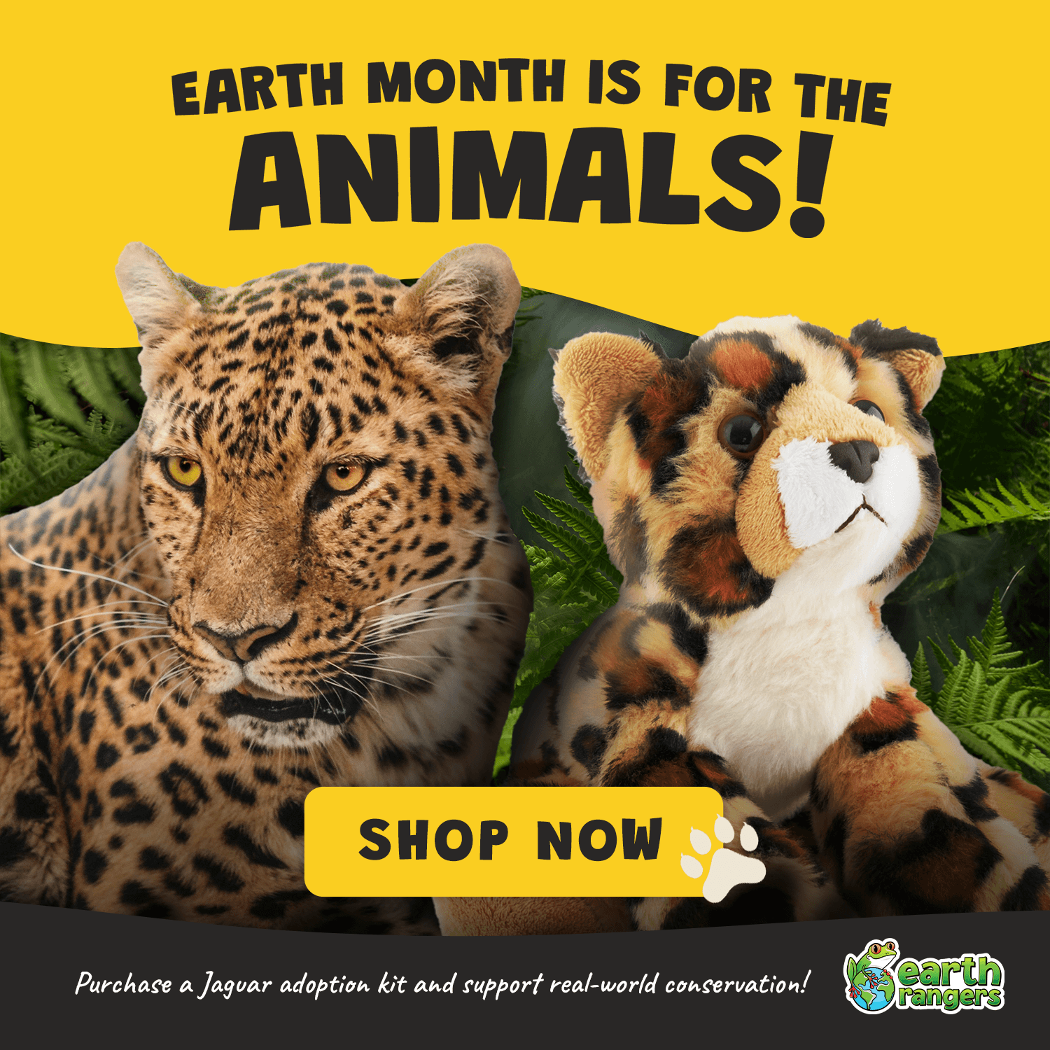 jaguar popup 2026.png